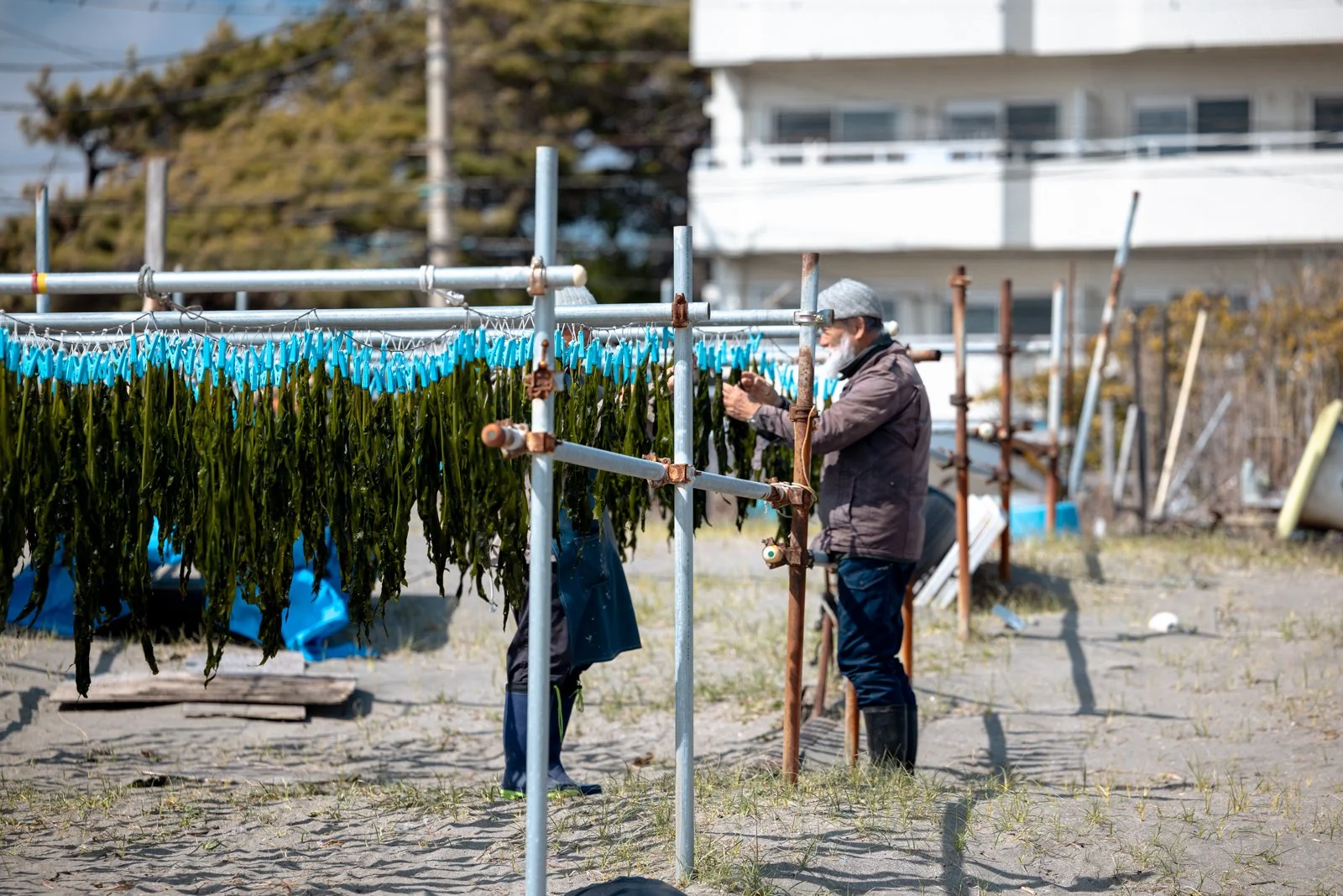 2026 JAPAN KAMAKURA BEACH-8.jpg
