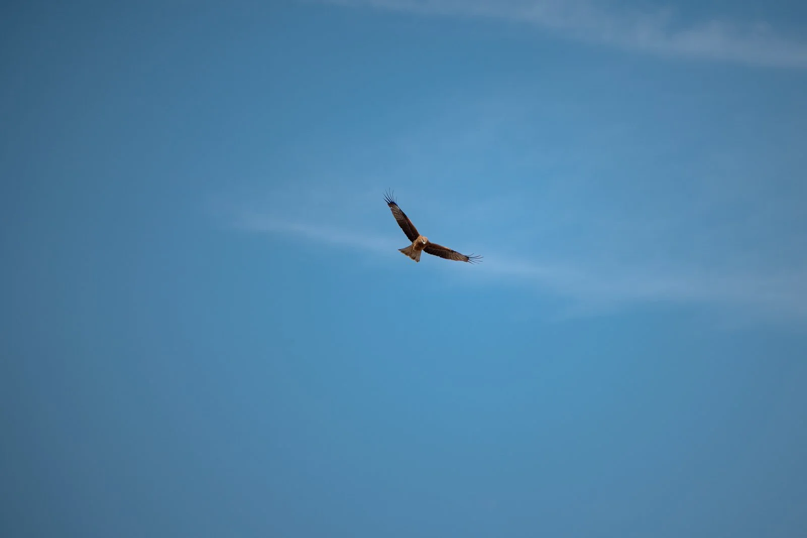 2026 JAPAN KAMAKURA BEACH-10.jpg