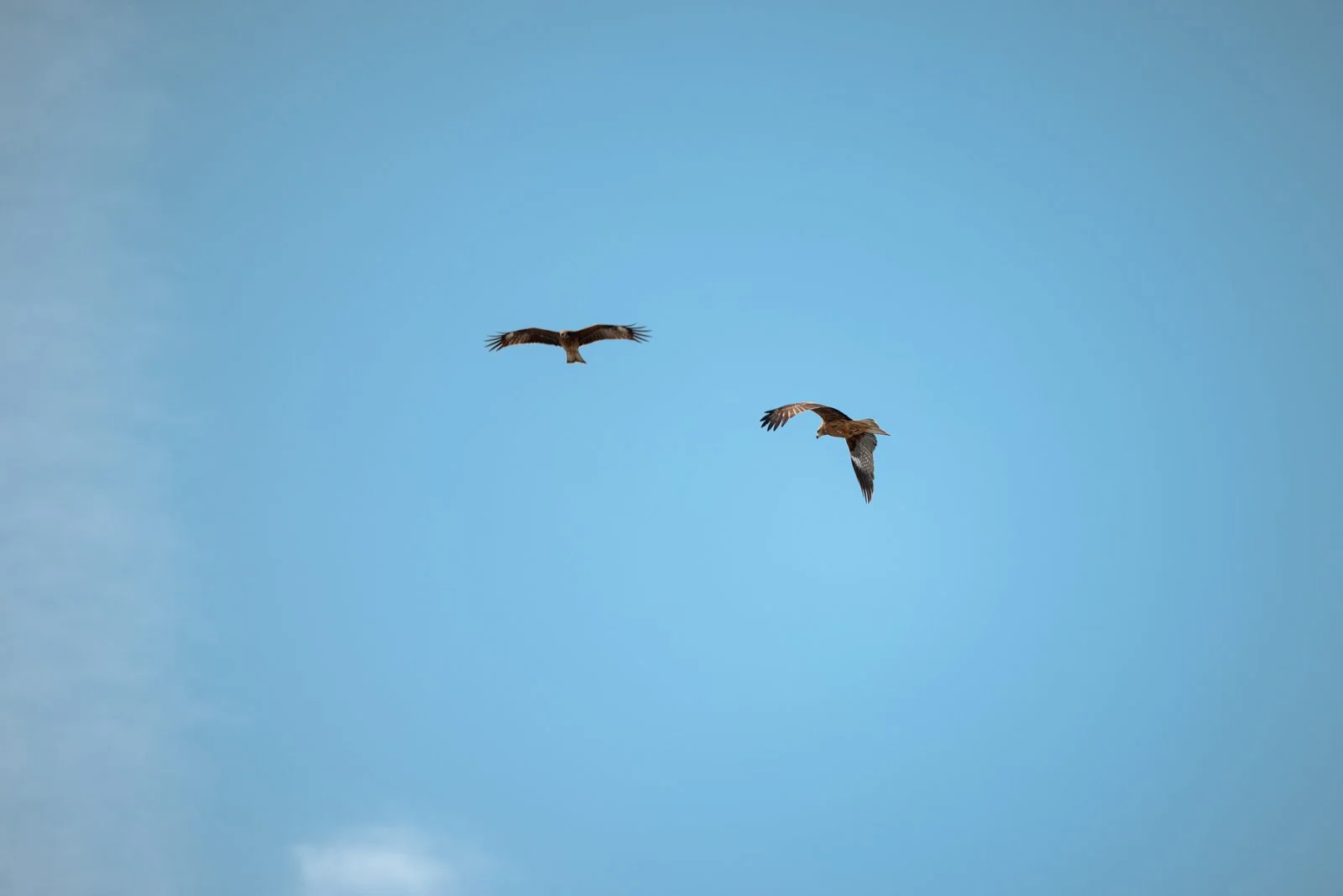 2026 JAPAN KAMAKURA BEACH-11.jpg