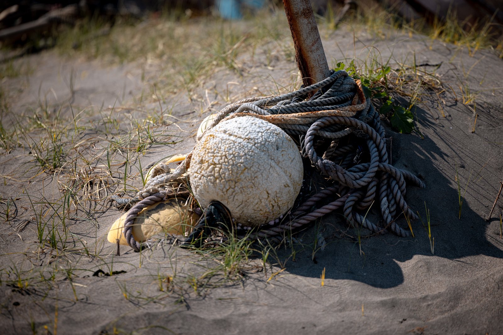 2026 JAPAN KAMAKURA BEACH-18.jpg
