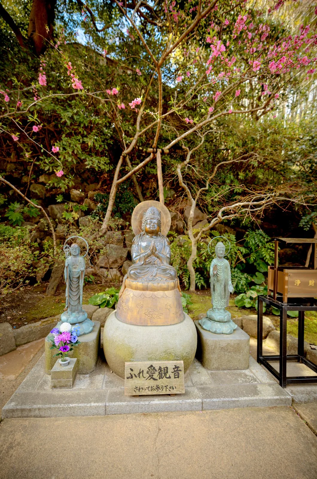 2026 JAPAN KAMAKURA HASE-DERA TEMPLE-3.jpg