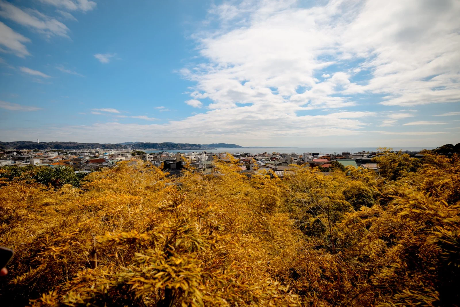 2026 JAPAN KAMAKURA HASE-DERA TEMPLE-11.jpg