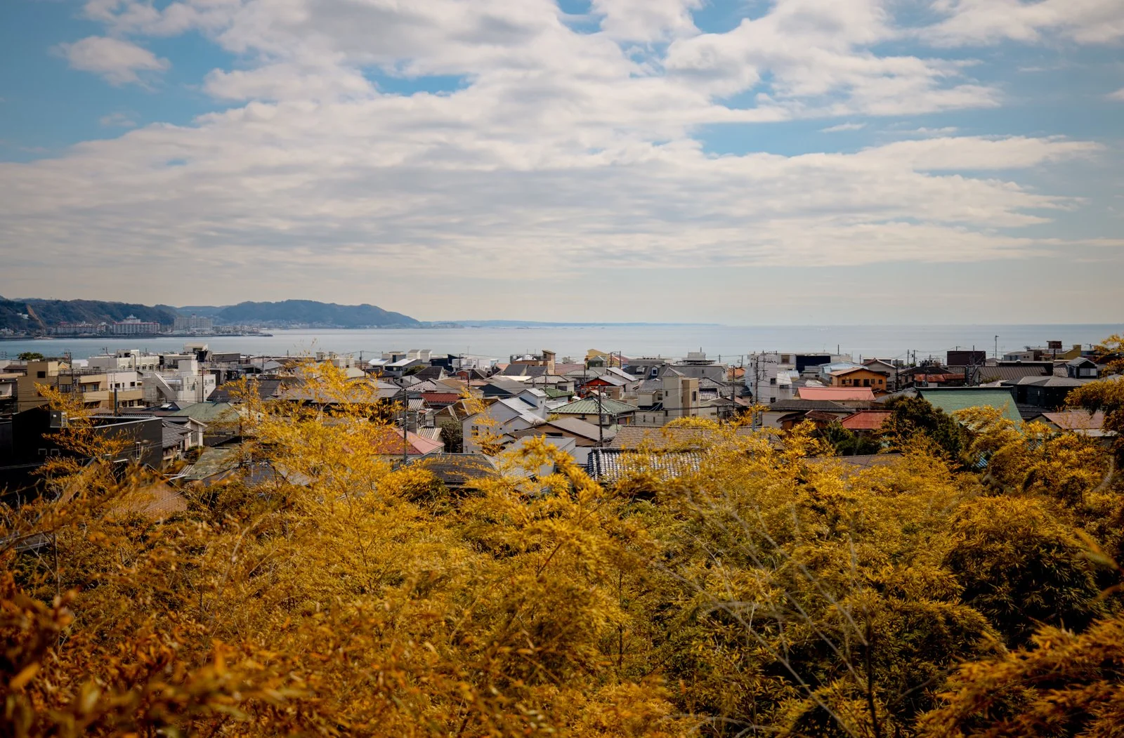 2026 JAPAN KAMAKURA HASE-DERA TEMPLE-12.jpg
