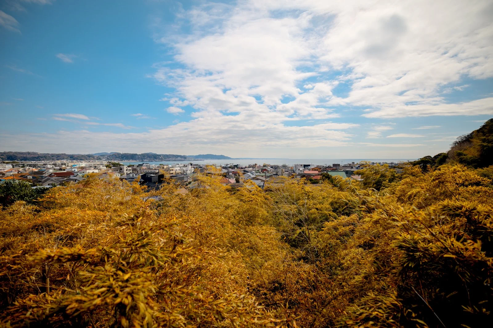 2026 JAPAN KAMAKURA HASE-DERA TEMPLE-13.jpg