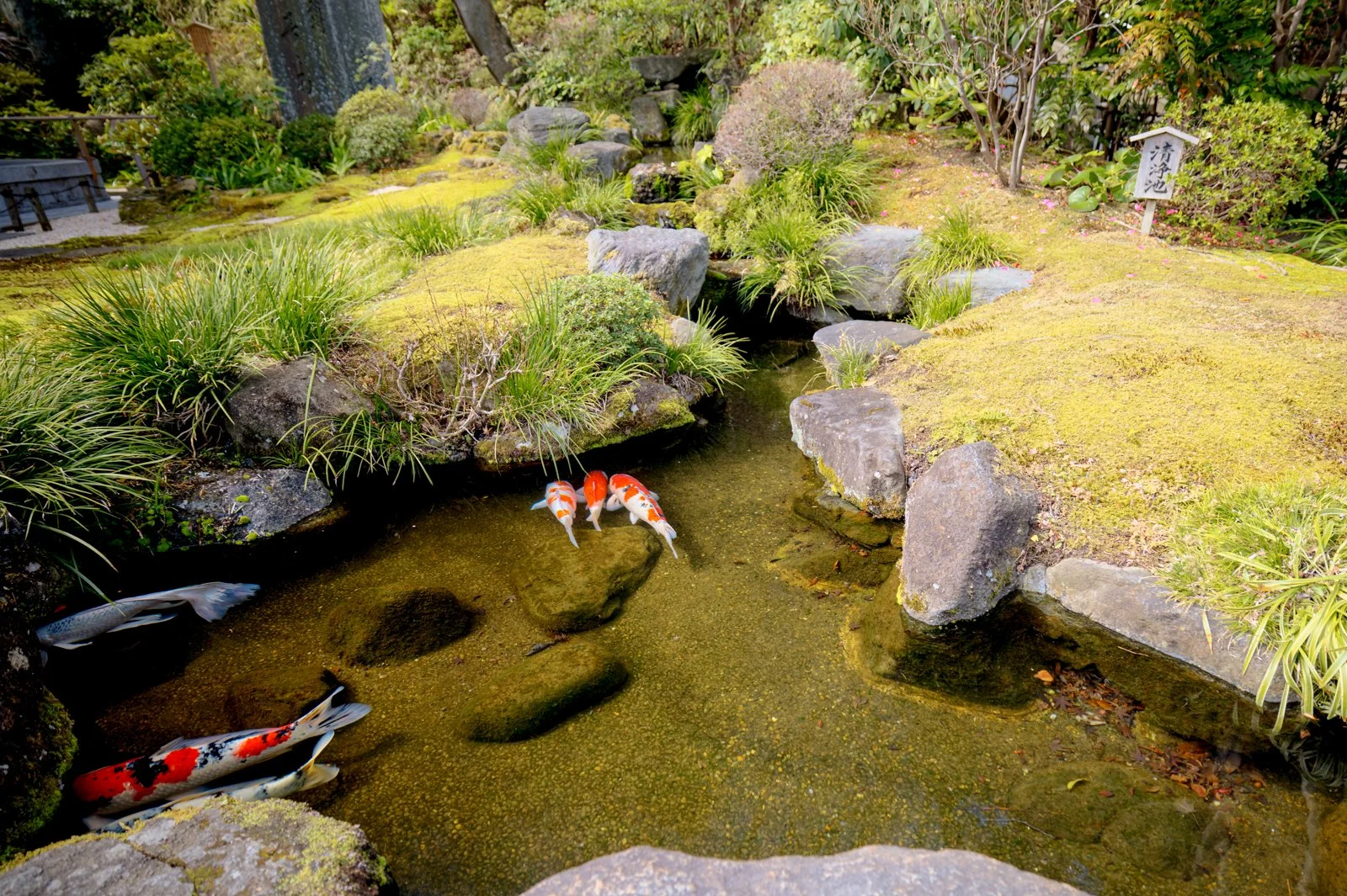2026 JAPAN KAMAKURA HASE-DERA TEMPLE-15.jpg