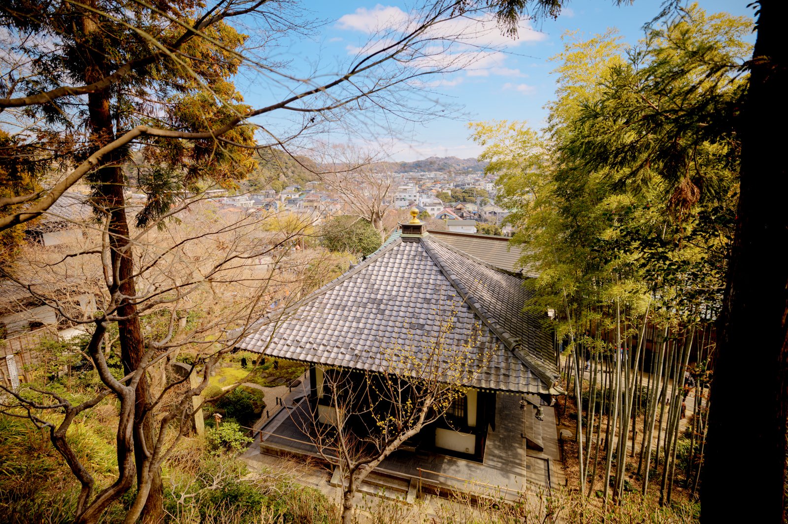 2026 JAPAN KAMAKURA HASE-DERA TEMPLE-17.jpg