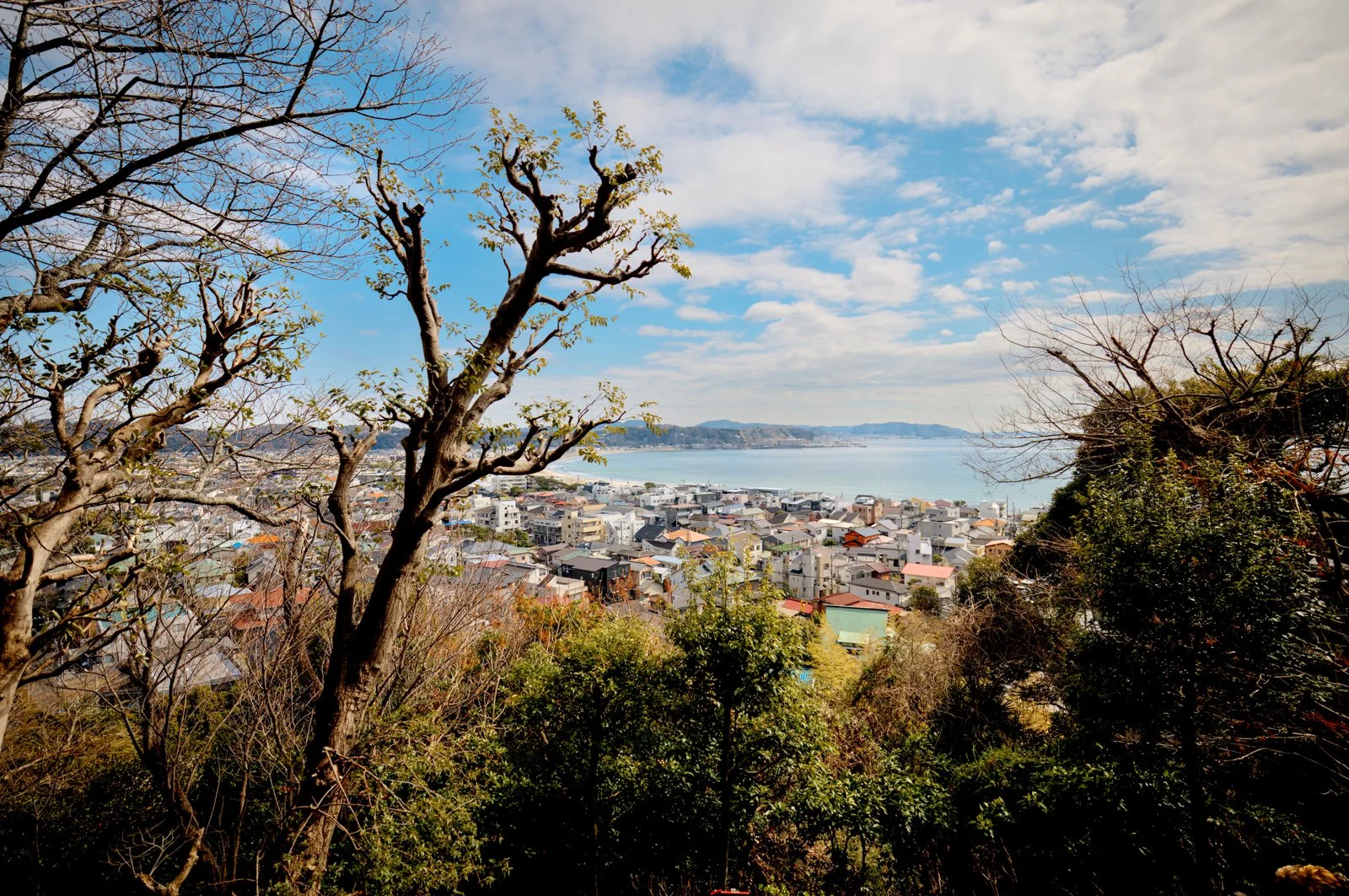 2026 JAPAN KAMAKURA HASE-DERA TEMPLE-18.jpg