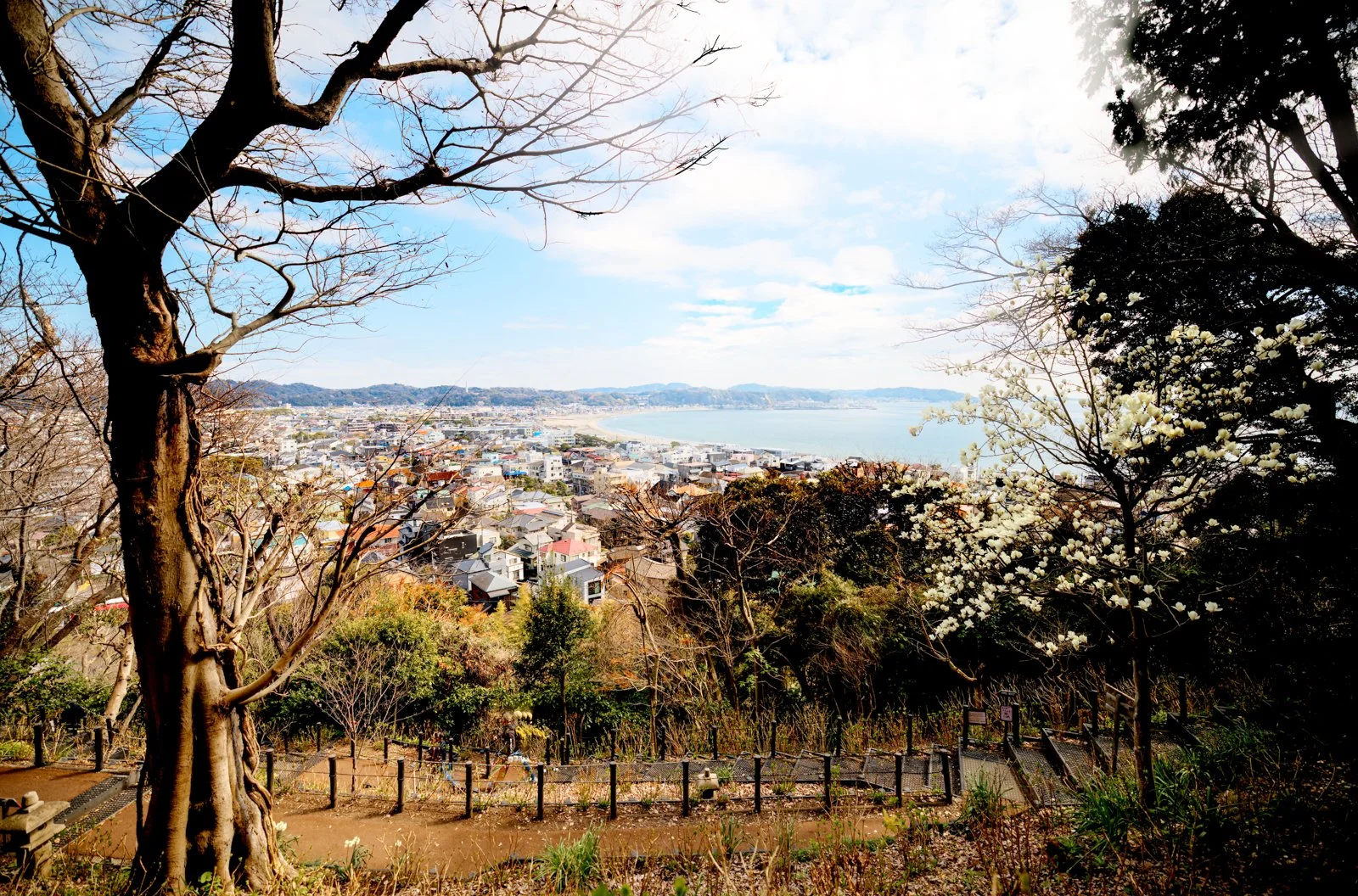 2026 JAPAN KAMAKURA HASE-DERA TEMPLE-19.jpg