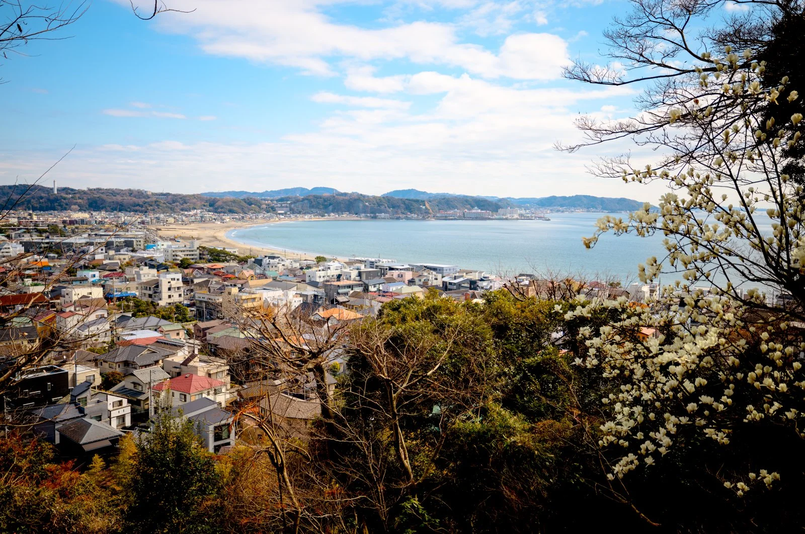 2026 JAPAN KAMAKURA HASE-DERA TEMPLE-20.jpg