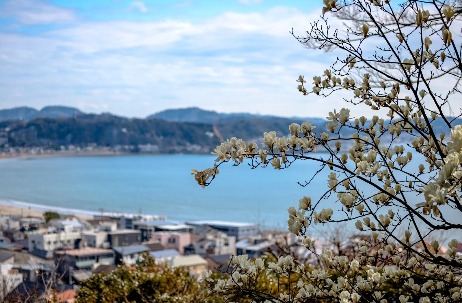 2026 JAPAN KAMAKURA HASE-DERA TEMPLE-23.jpg