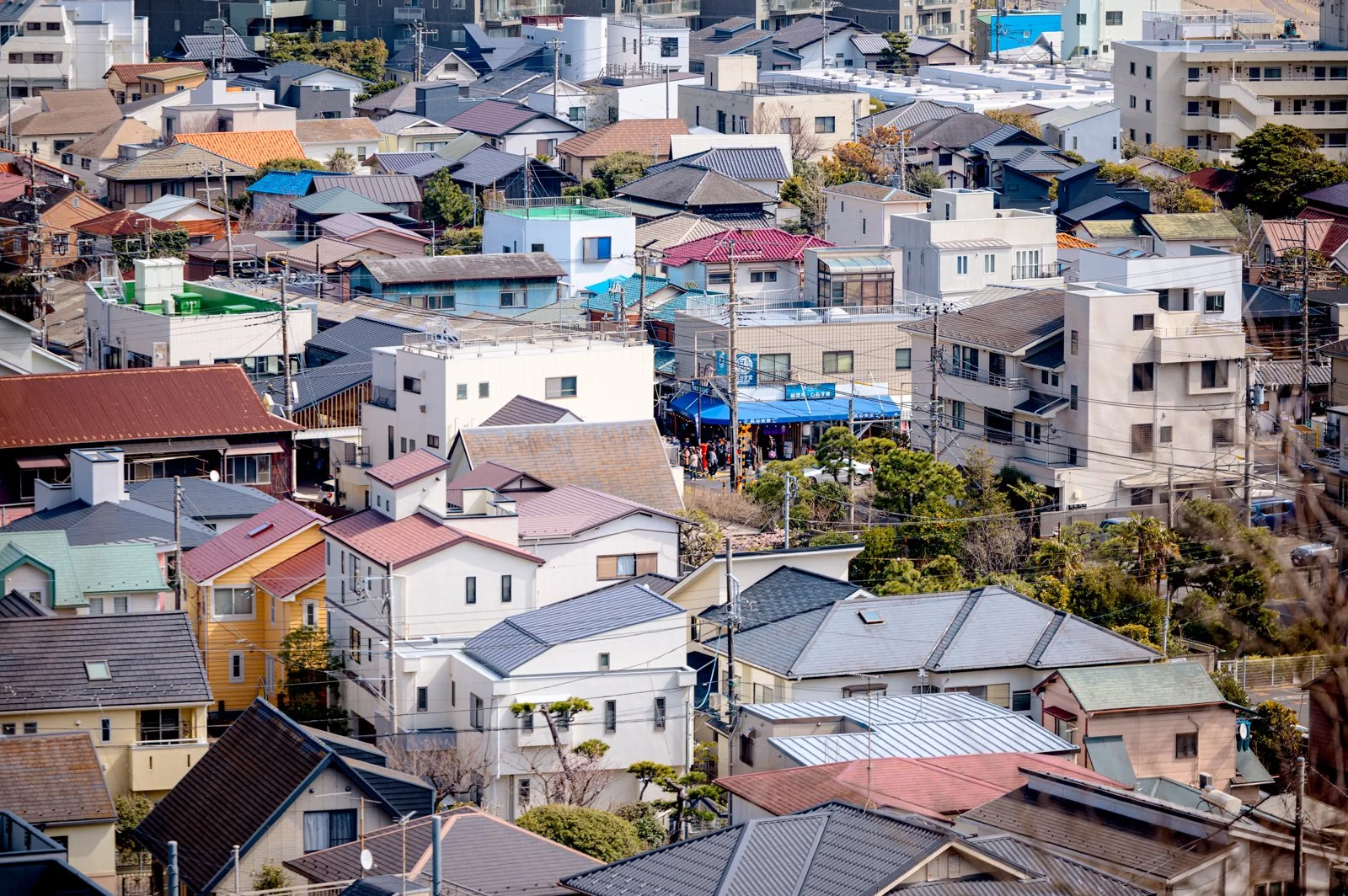 2026 JAPAN KAMAKURA HASE-DERA TEMPLE-24.jpg