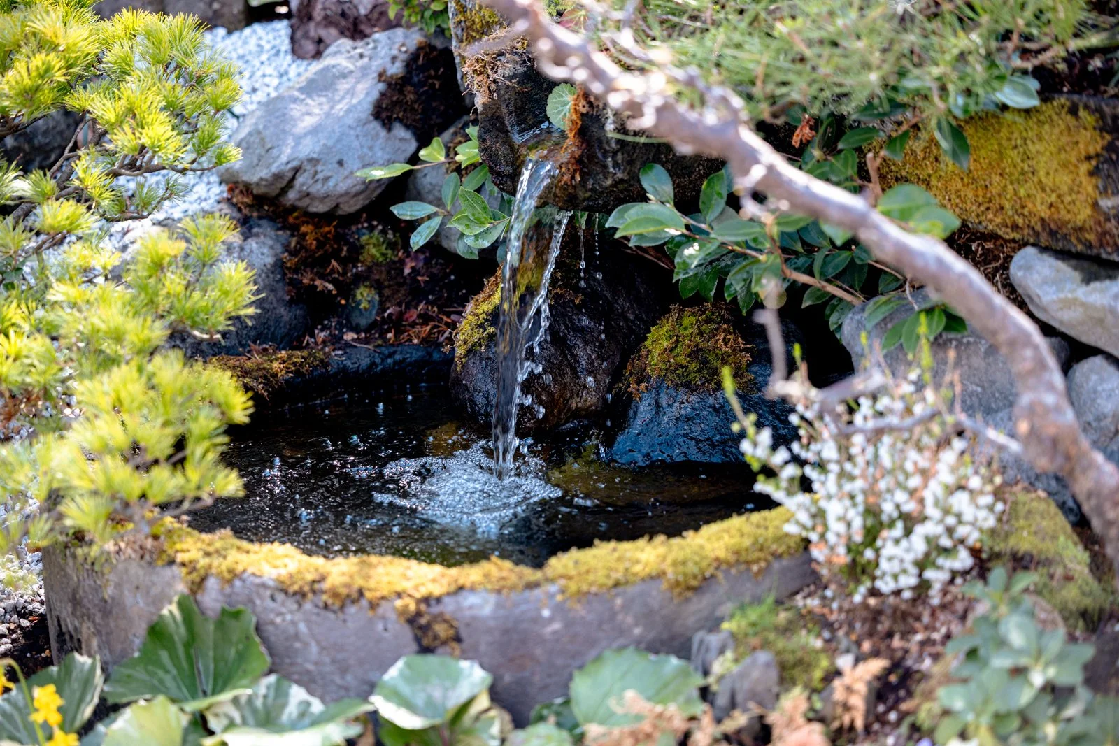 2026 JAPAN KAMAKURA HASE-DERA TEMPLE-30.jpg