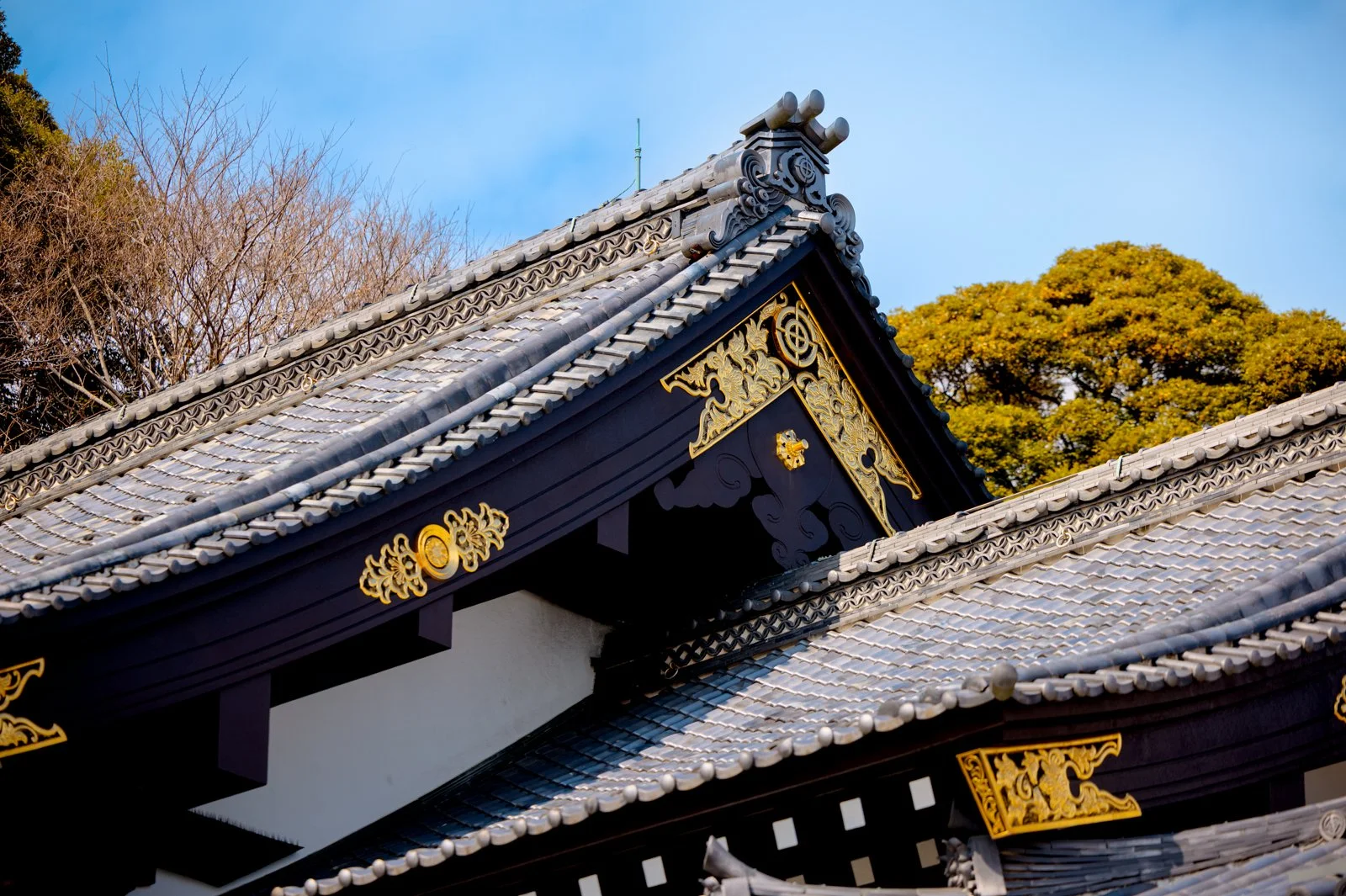 2026 JAPAN KAMAKURA HASE-DERA TEMPLE-31.jpg
