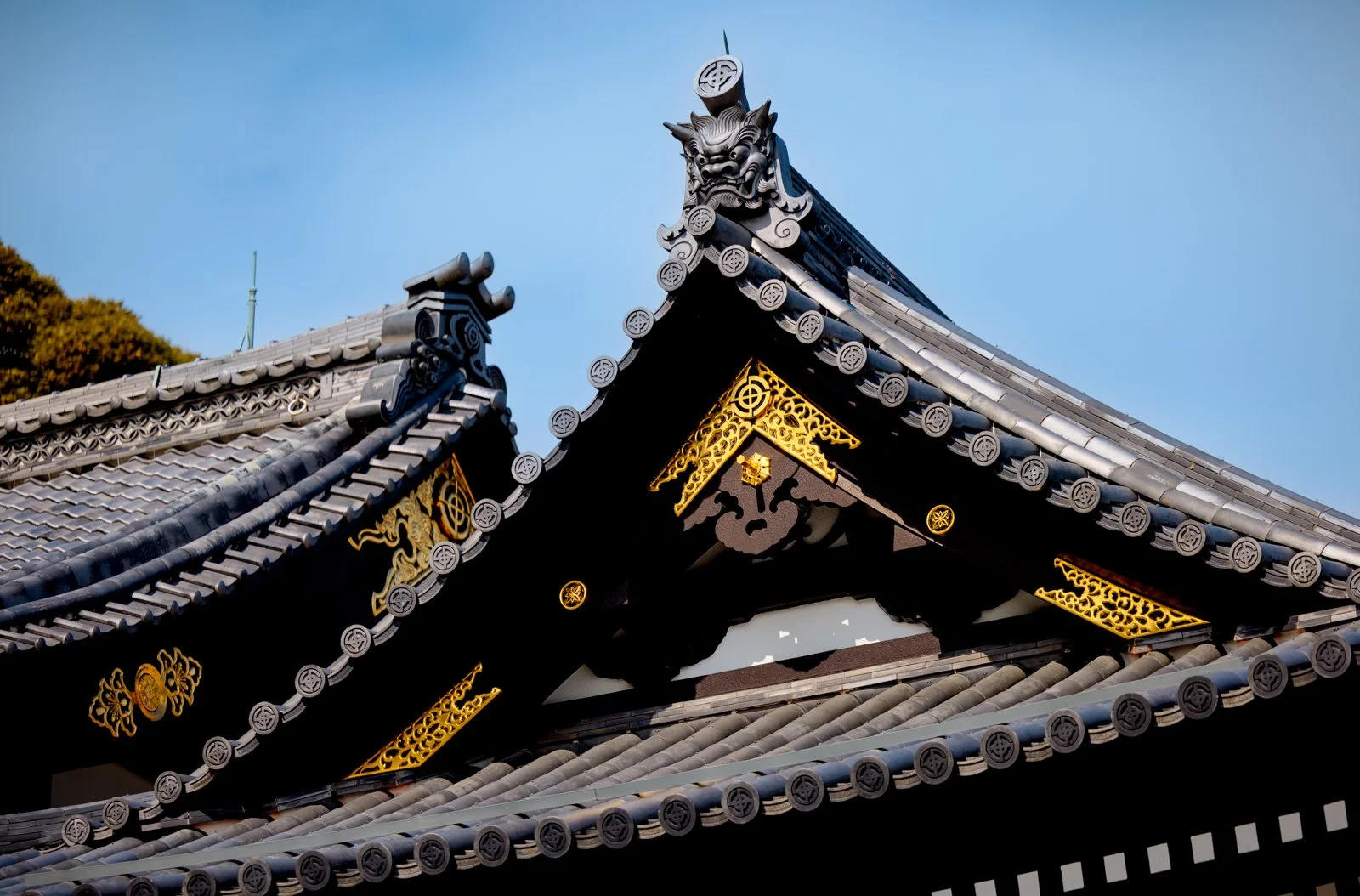 2026 JAPAN KAMAKURA HASE-DERA TEMPLE-32.jpg