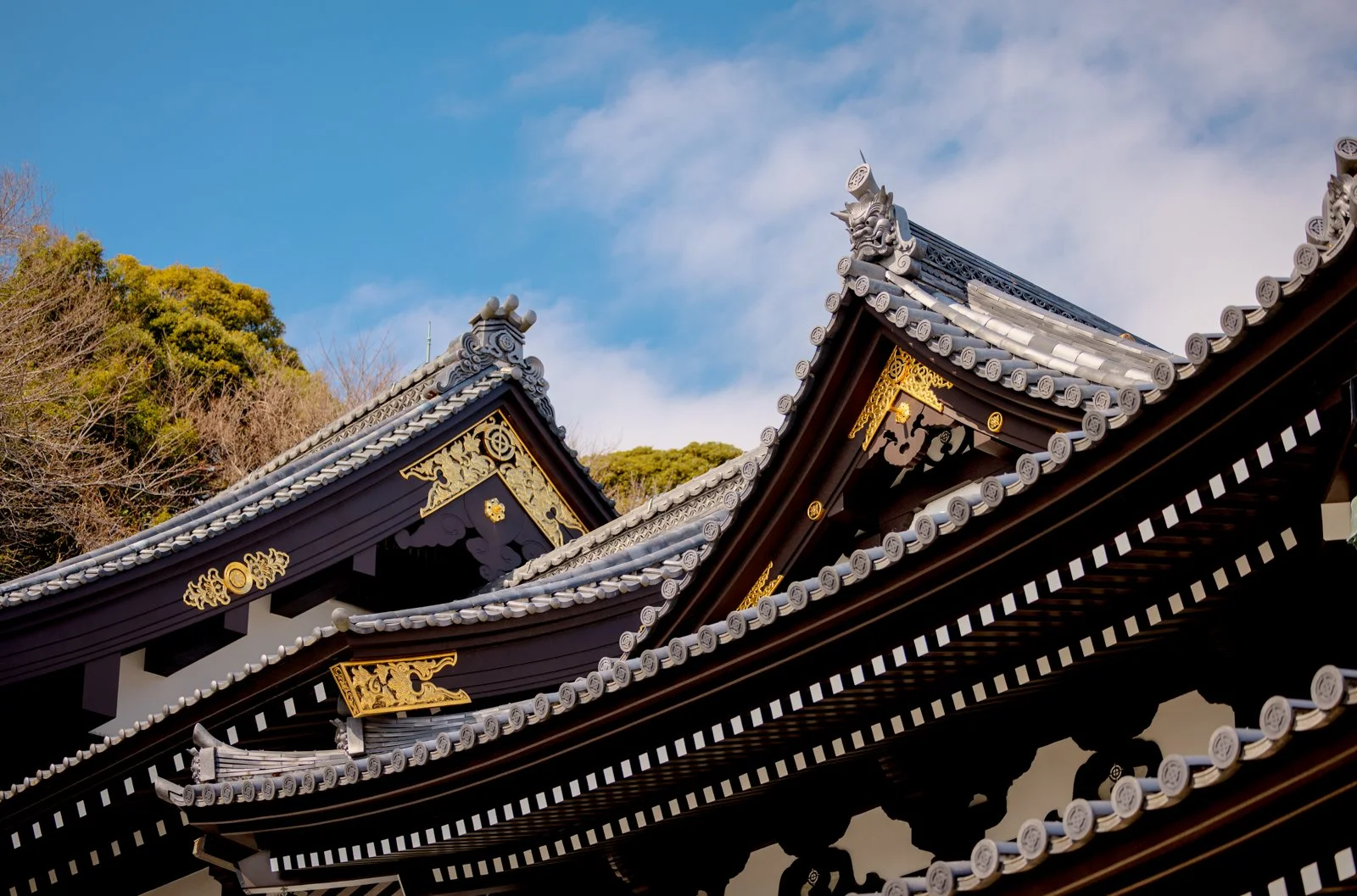 2026 JAPAN KAMAKURA HASE-DERA TEMPLE-33.jpg
