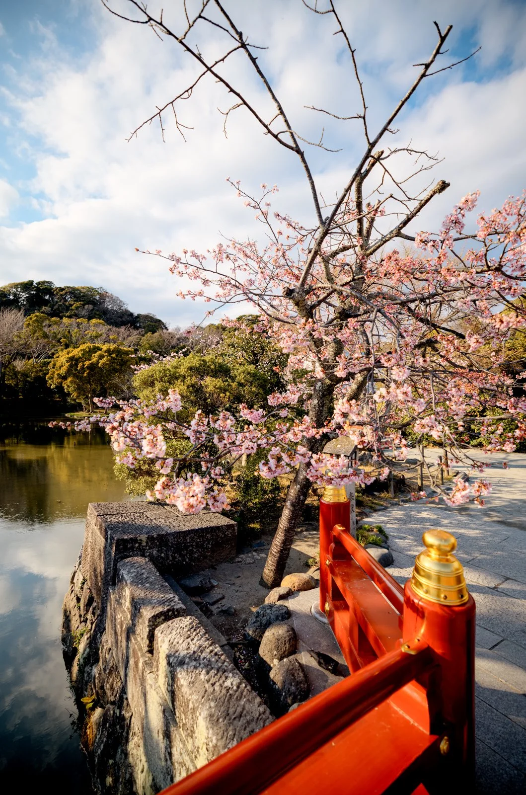 2026 JAPAN KAMAKURA TSURUGAOKA HACHIMANGU SHRINE-2.jpg