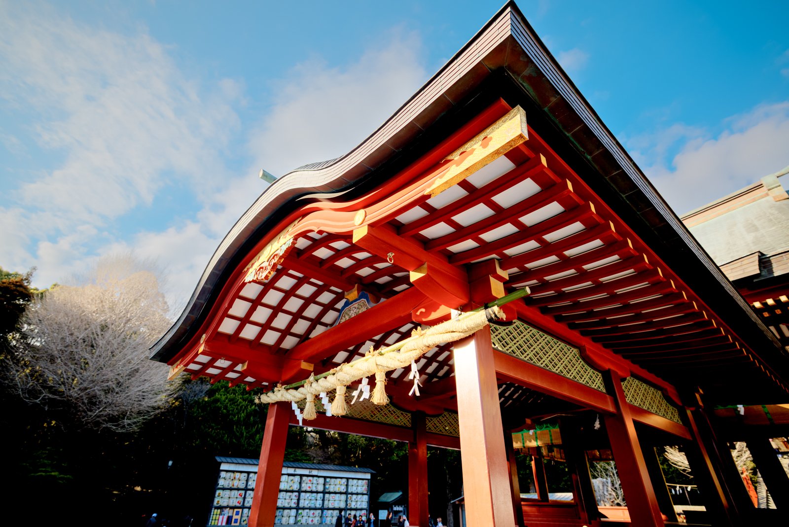 2026 JAPAN KAMAKURA TSURUGAOKA HACHIMANGU SHRINE-5.jpg