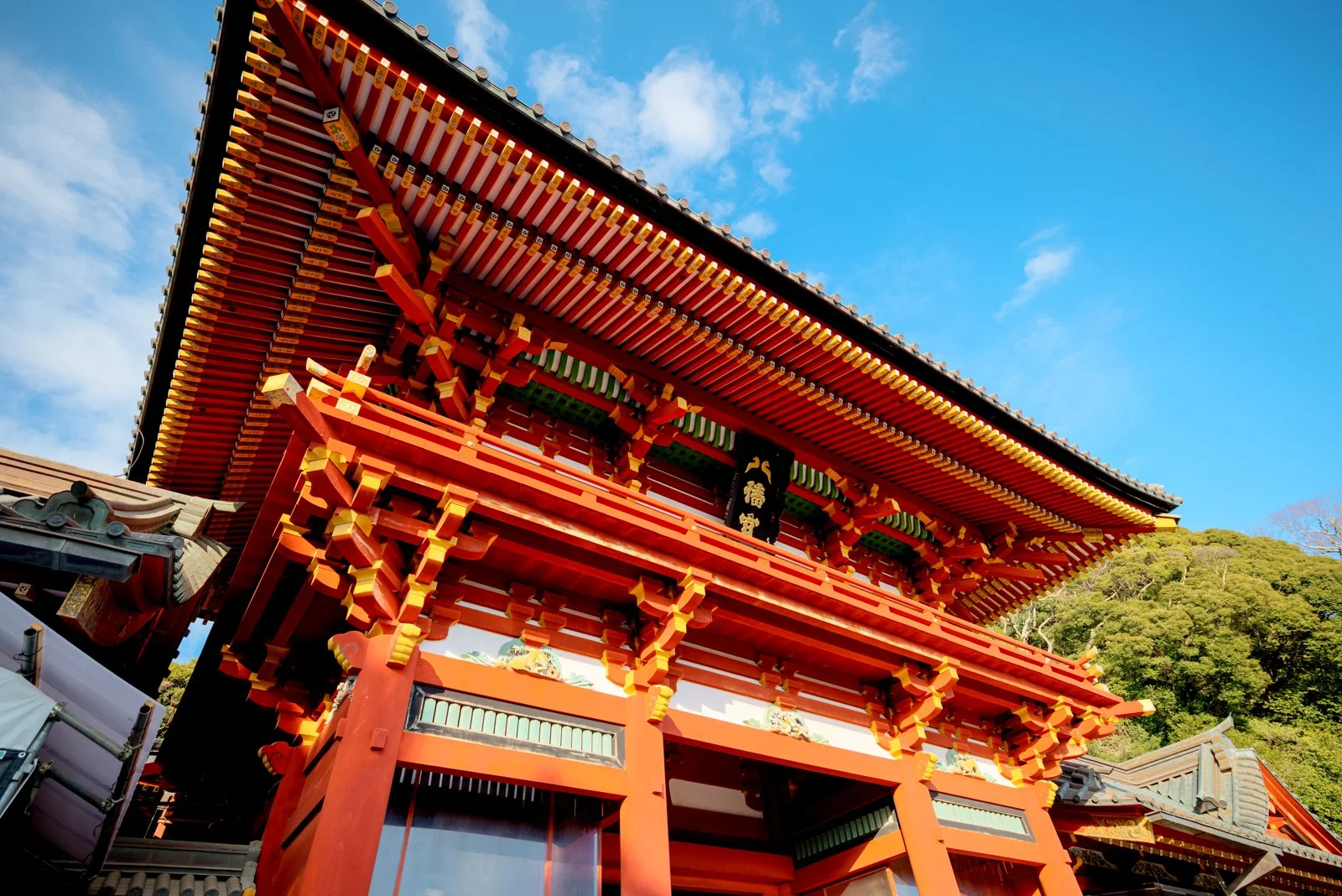 2026 JAPAN KAMAKURA TSURUGAOKA HACHIMANGU SHRINE-10.jpg