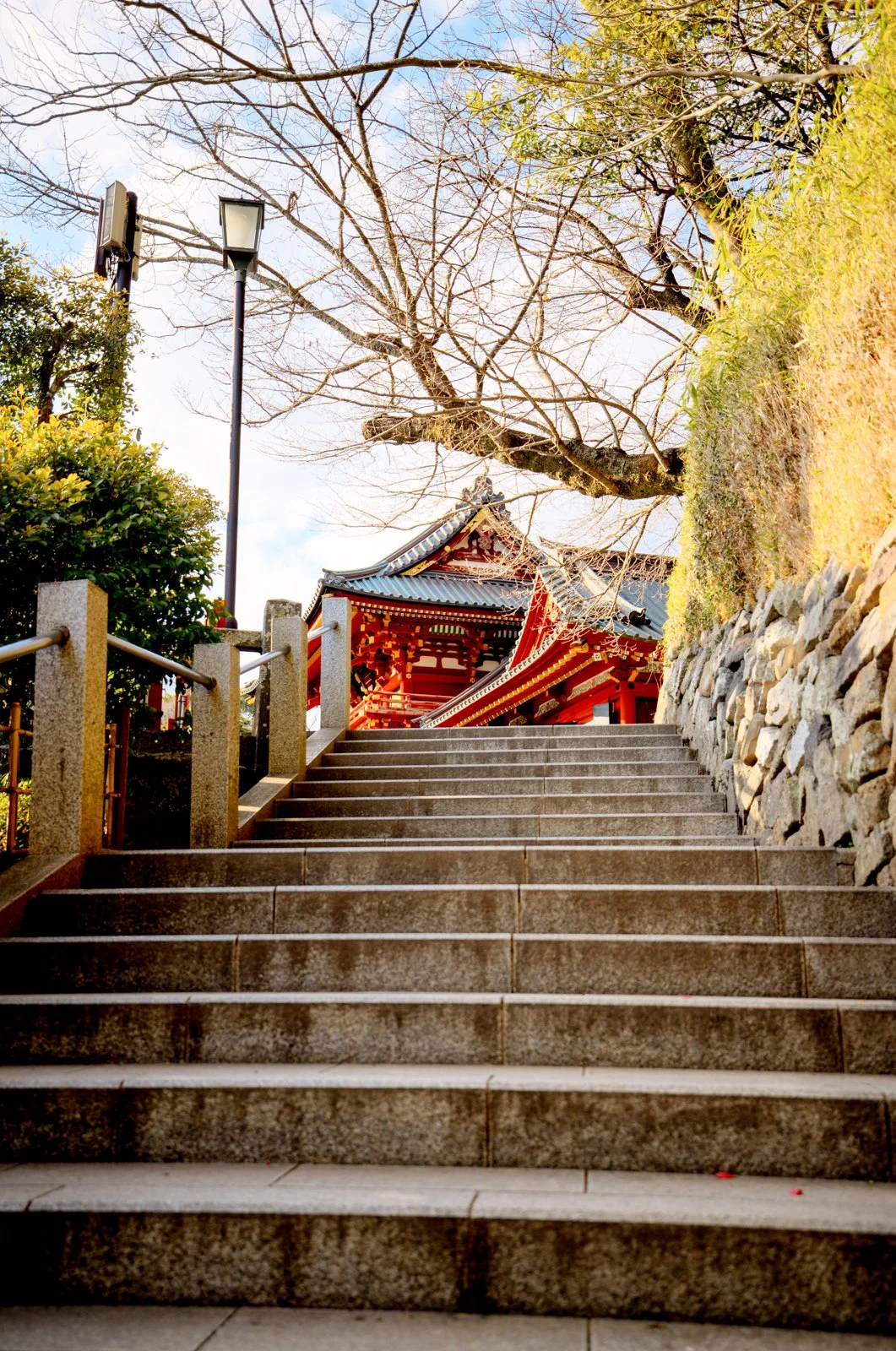 2026 JAPAN KAMAKURA TSURUGAOKA HACHIMANGU SHRINE-13.jpg