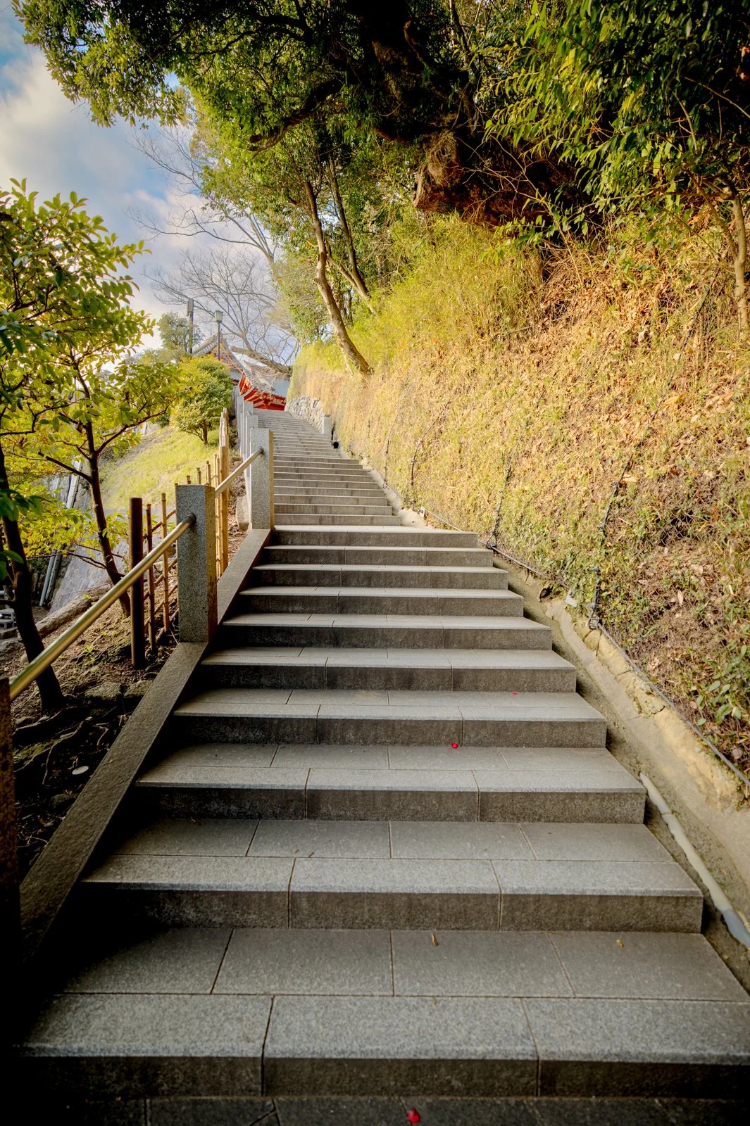2026 JAPAN KAMAKURA TSURUGAOKA HACHIMANGU SHRINE-14.jpg