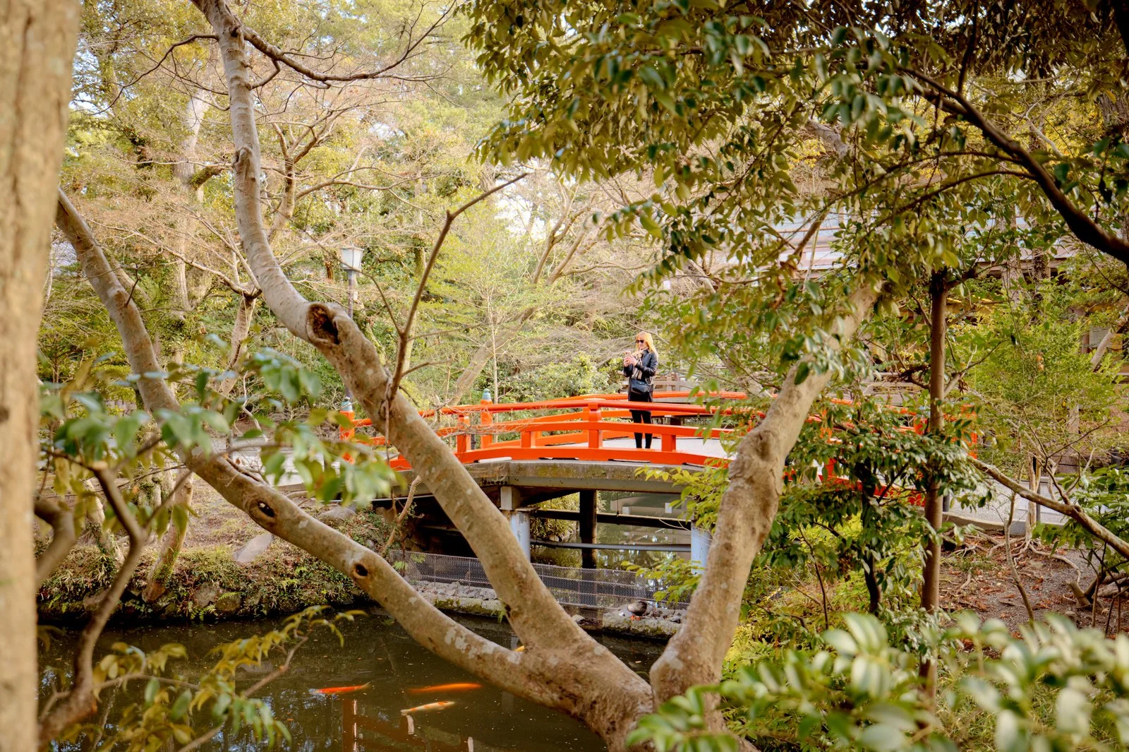 2026 JAPAN KAMAKURA TSURUGAOKA HACHIMANGU SHRINE-16.jpg