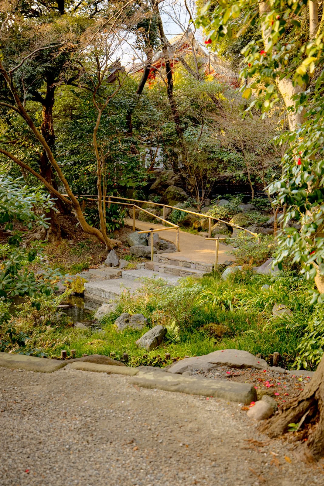 2026 JAPAN KAMAKURA TSURUGAOKA HACHIMANGU SHRINE-17.jpg