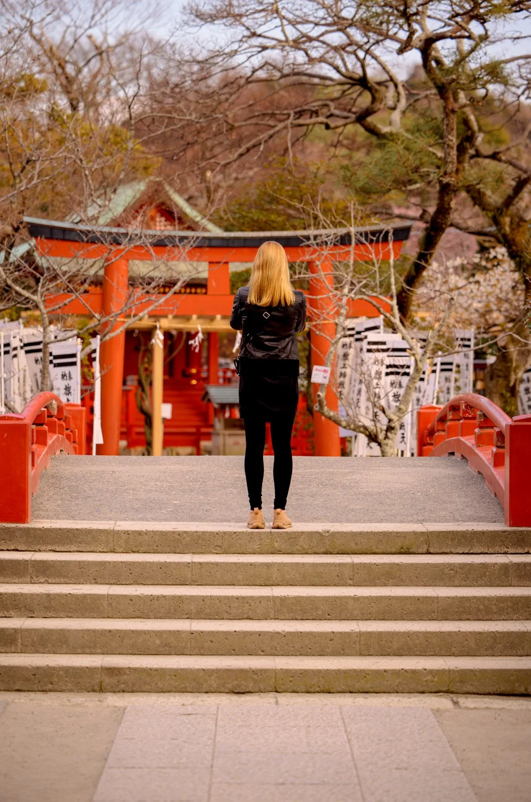 2026 JAPAN KAMAKURA TSURUGAOKA HACHIMANGU SHRINE-25.jpg
