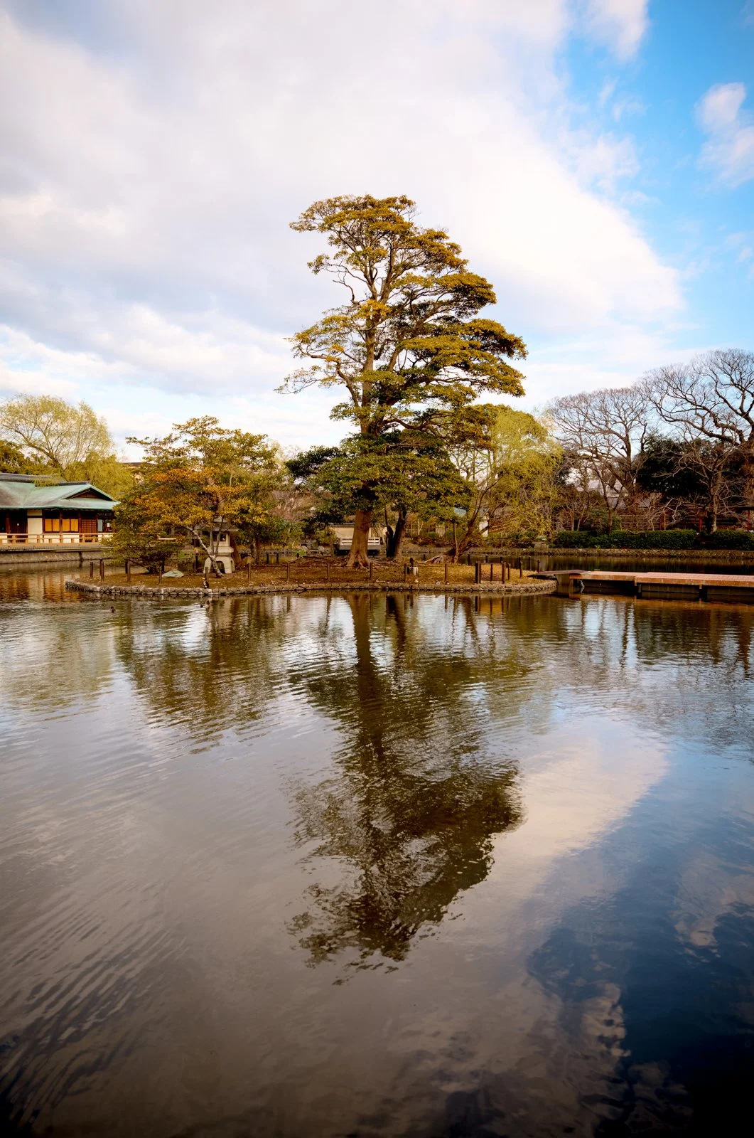 2026 JAPAN KAMAKURA TSURUGAOKA HACHIMANGU SHRINE-26.jpg