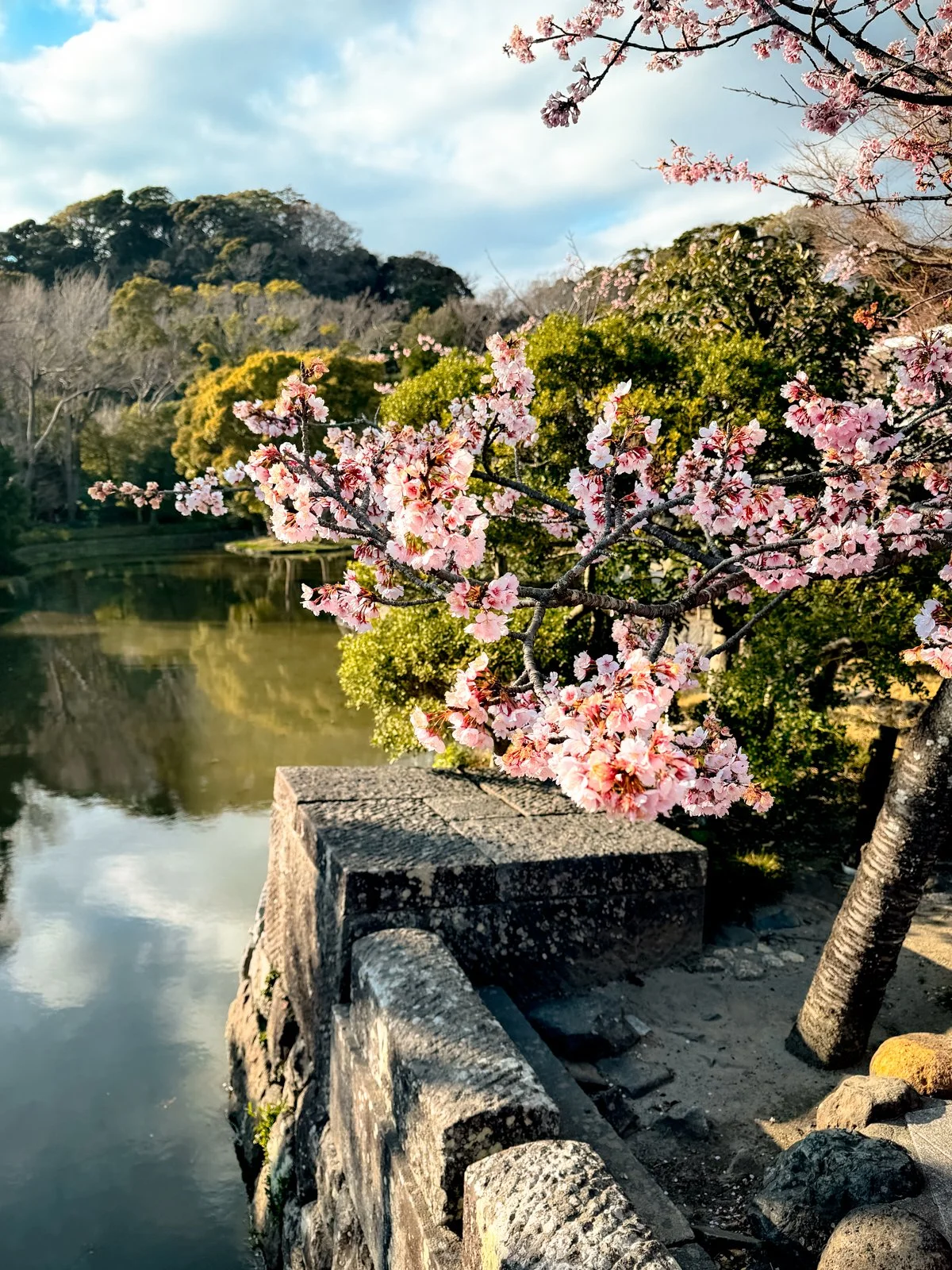 2026 JAPAN KAMAKURA TSURUGAOKA HACHIMANGU SHRINE-30.jpg