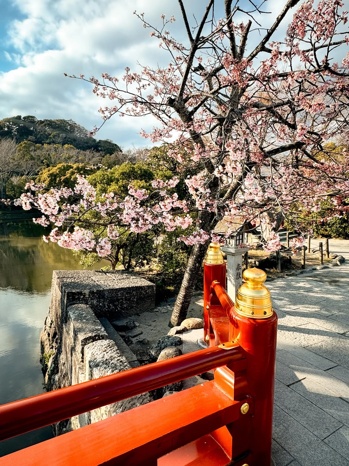 2026 JAPAN KAMAKURA TSURUGAOKA HACHIMANGU SHRINE-31.jpg