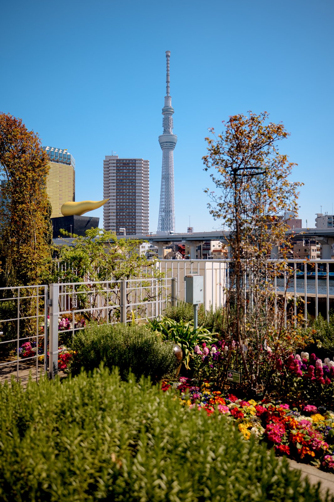 2026 JAPAN TOKYO ASAKUSA NAMIKASE STREET-6.jpg