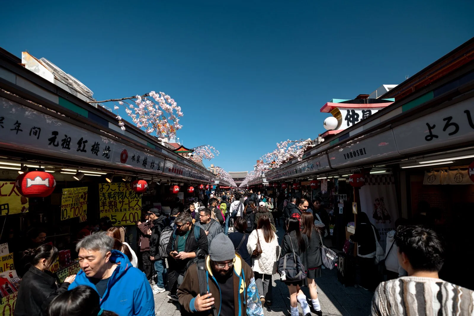 2026 JAPAN TOKYO ASAKUSA NAMIKASE STREET-14.jpg