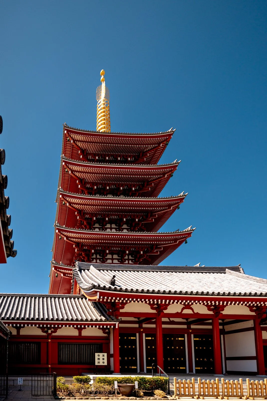 2026 JAPAN TOKYO ASAKUSA SENSO-JI SHRINE-4.jpg