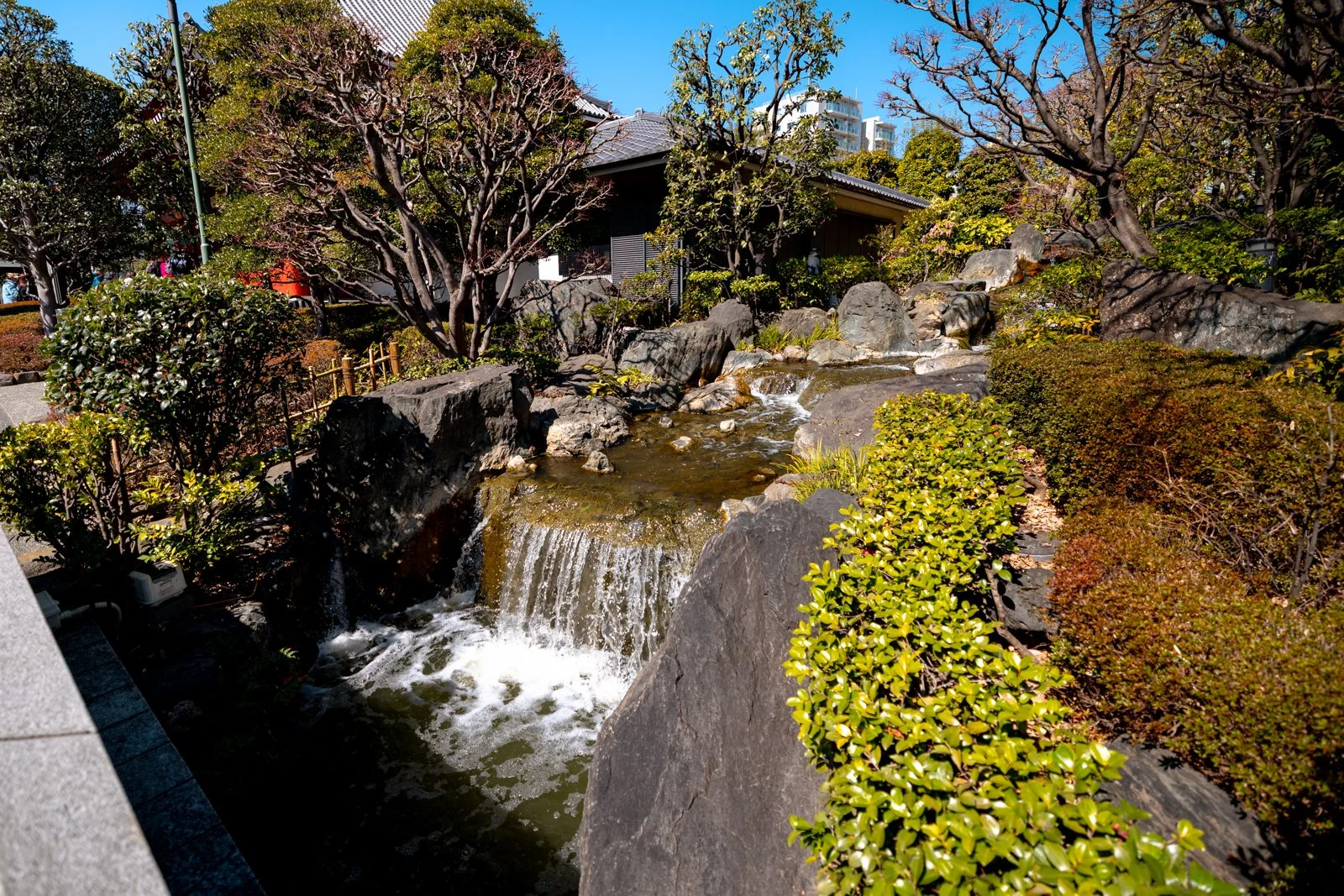 2026 JAPAN TOKYO ASAKUSA SENSO-JI SHRINE-16.jpg