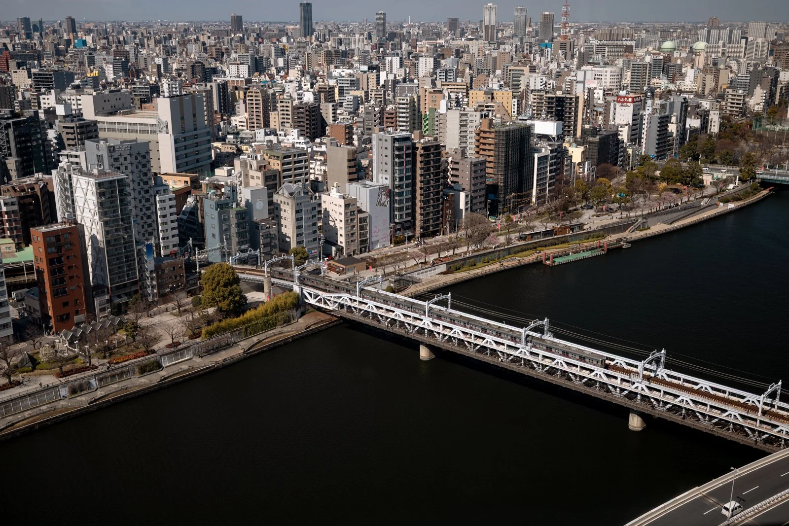 2026 JAPAN TOKYO AZUMABASHI ASAHI-11.jpg