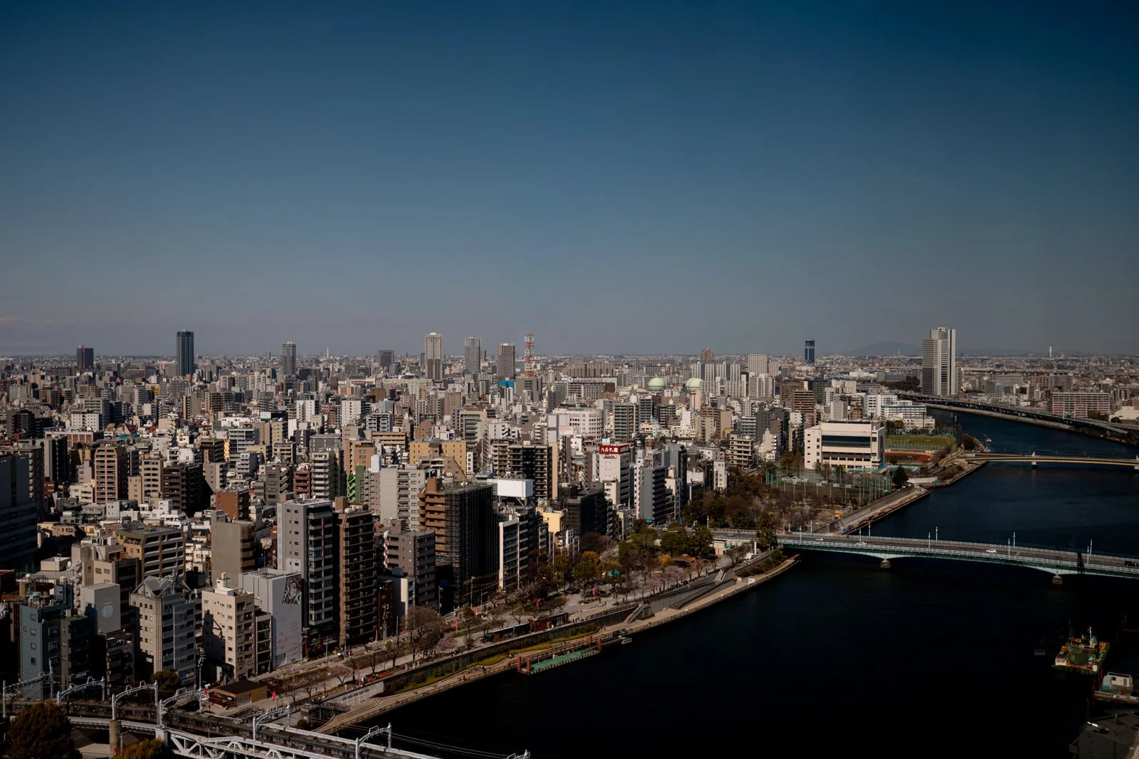 2026 JAPAN TOKYO AZUMABASHI ASAHI-12.jpg