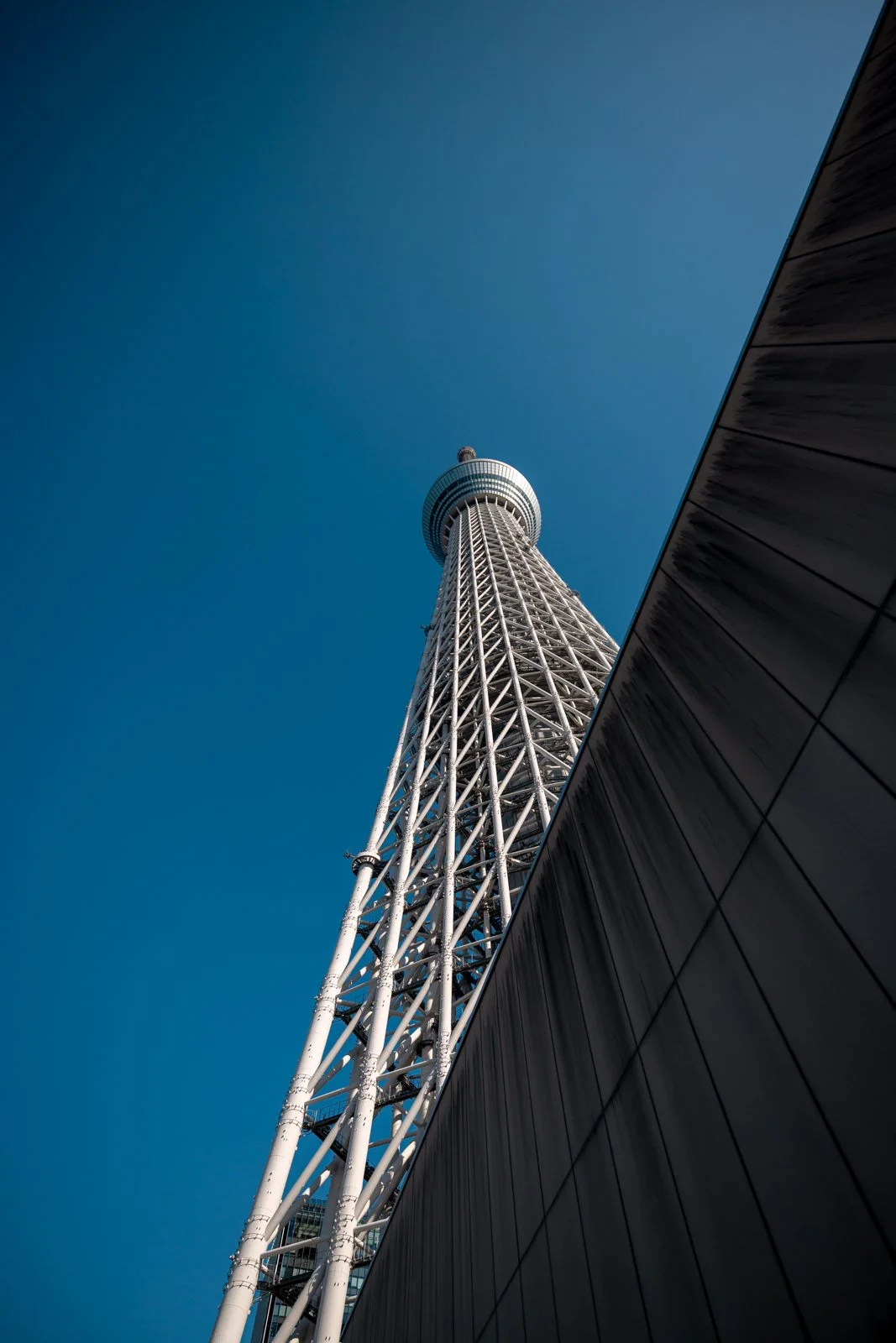 2026 JAPAN TOKYO AZUMABASHI SKYTREE-3.jpg