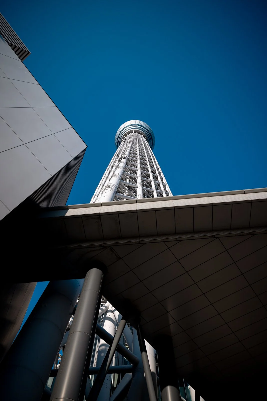 2026 JAPAN TOKYO AZUMABASHI SKYTREE-13.jpg