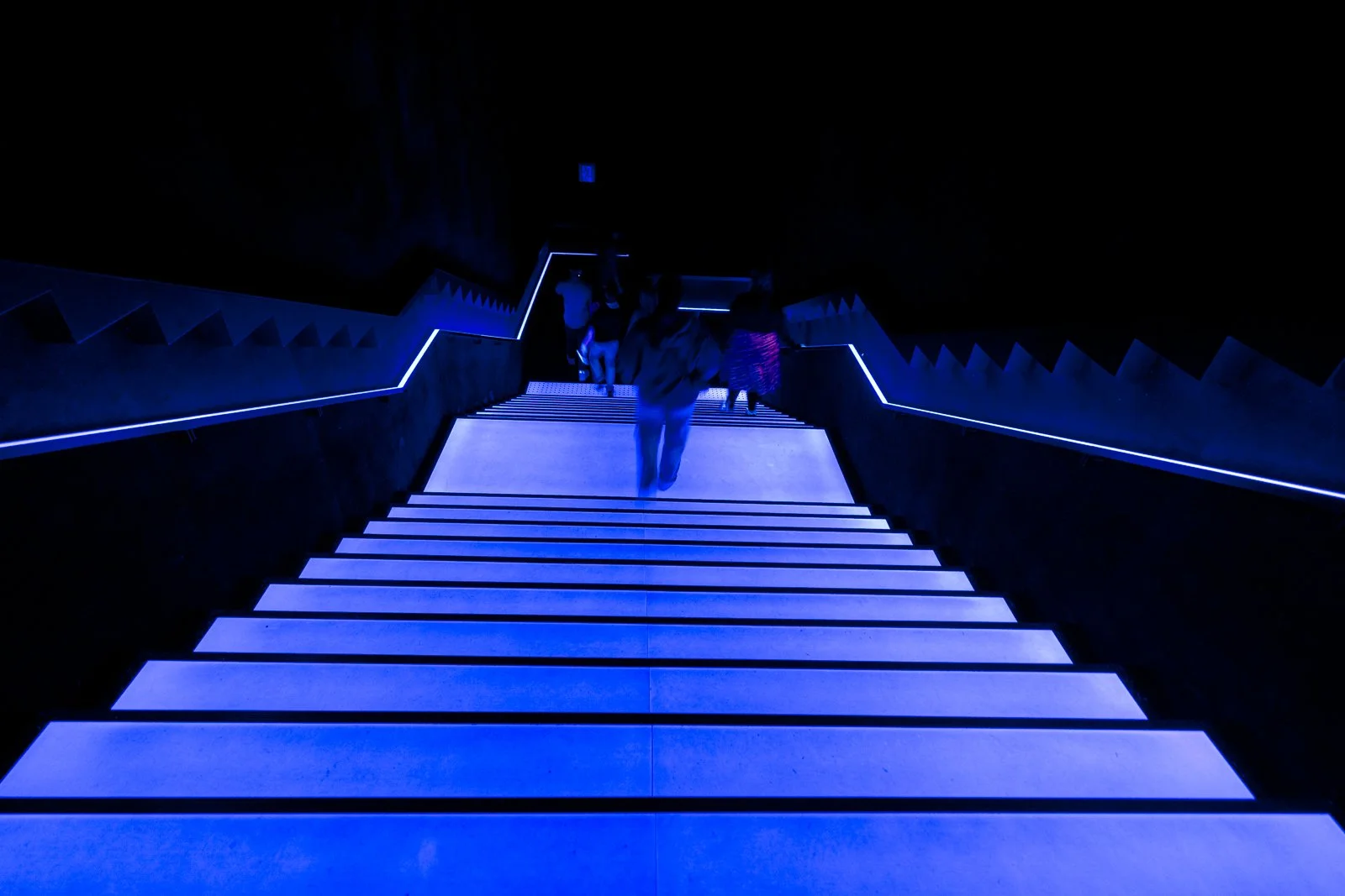 2026 JAPAN TEAMLAB BORDERLESS-1.jpg