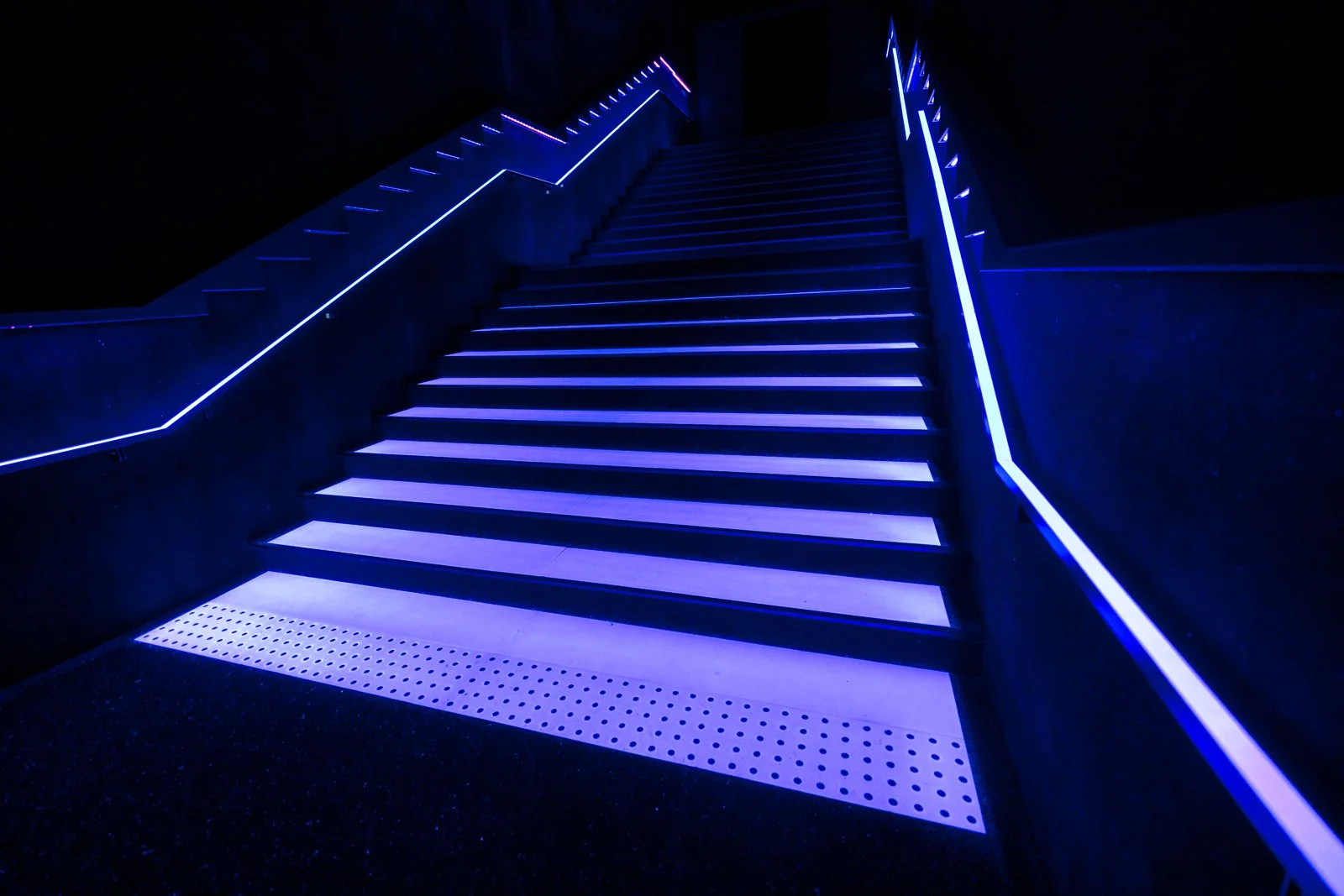 2026 JAPAN TEAMLAB BORDERLESS-2.jpg