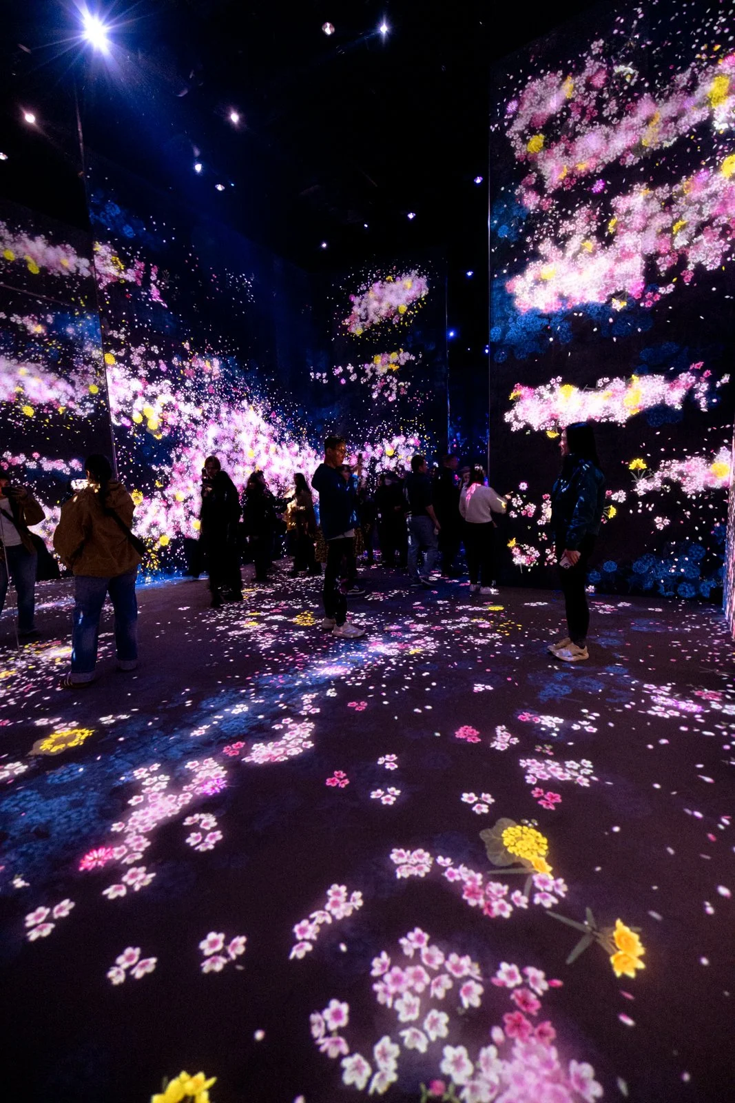 2026 JAPAN TEAMLAB BORDERLESS-3.jpg