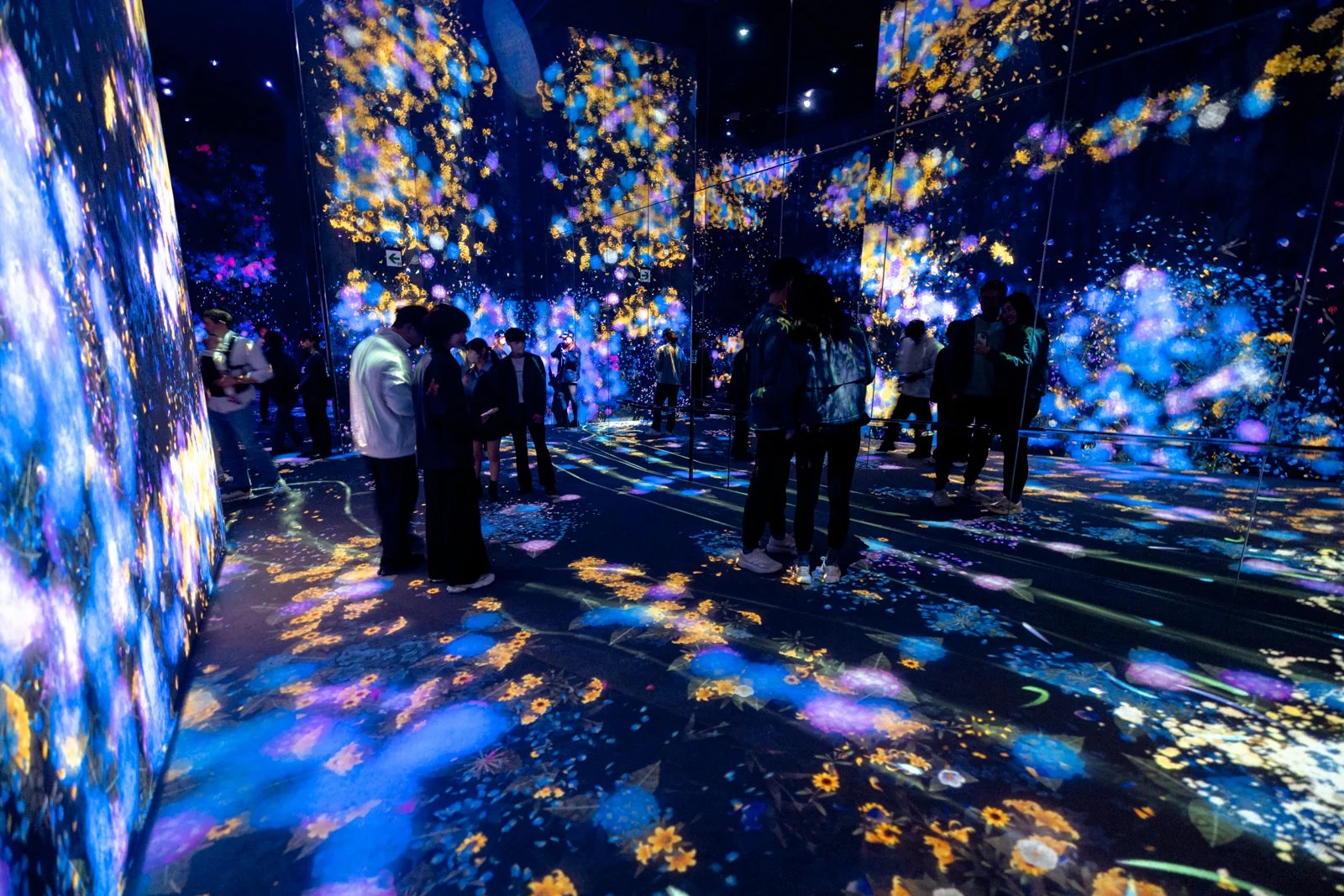 2026 JAPAN TEAMLAB BORDERLESS-4.jpg