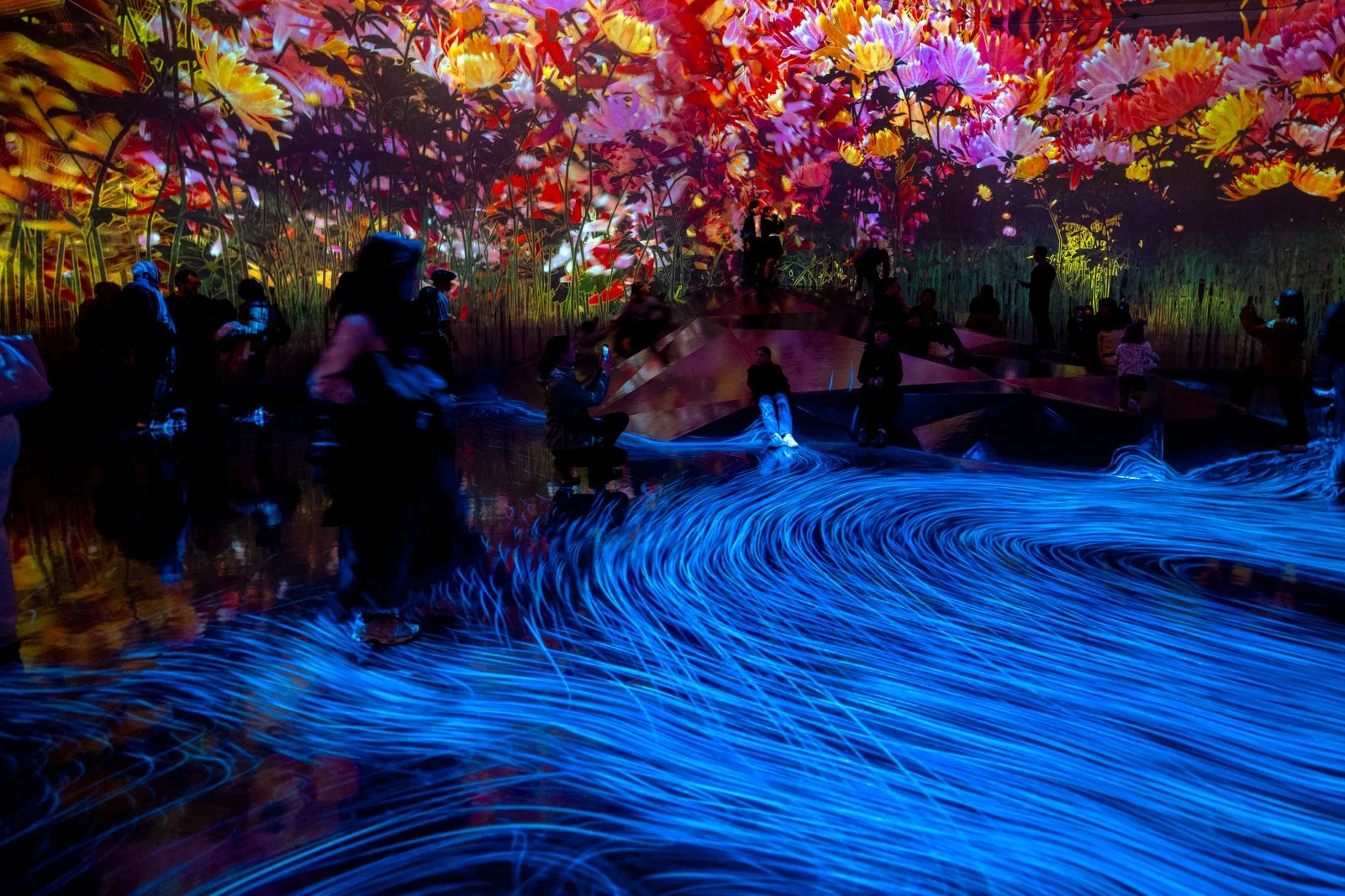 2026 JAPAN TEAMLAB BORDERLESS-10.jpg