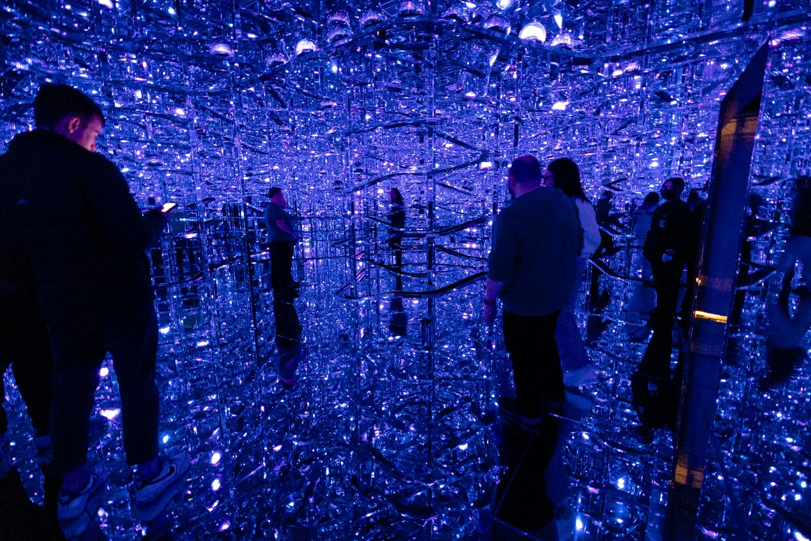 2026 JAPAN TEAMLAB BORDERLESS-13.jpg