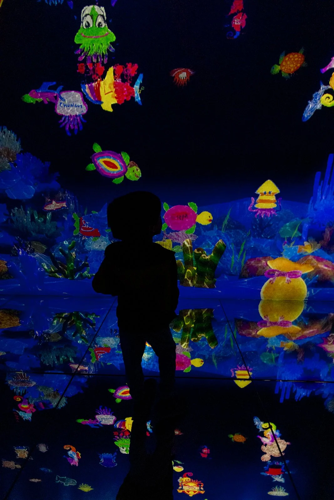 2026 JAPAN TEAMLAB BORDERLESS-17.jpg