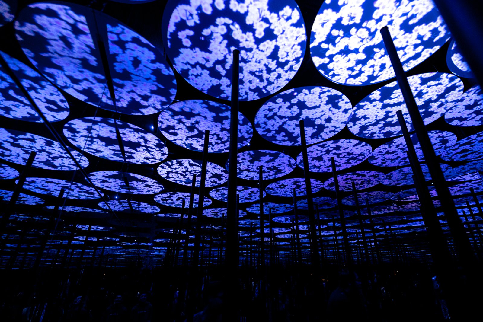 2026 JAPAN TEAMLAB BORDERLESS-18.jpg