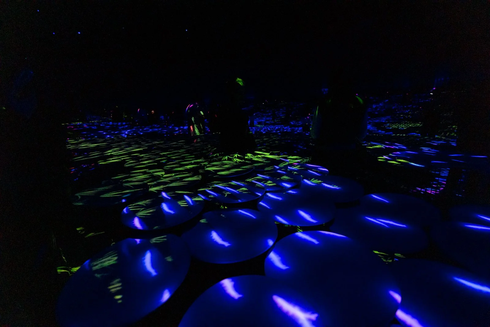 2026 JAPAN TEAMLAB BORDERLESS-23.jpg