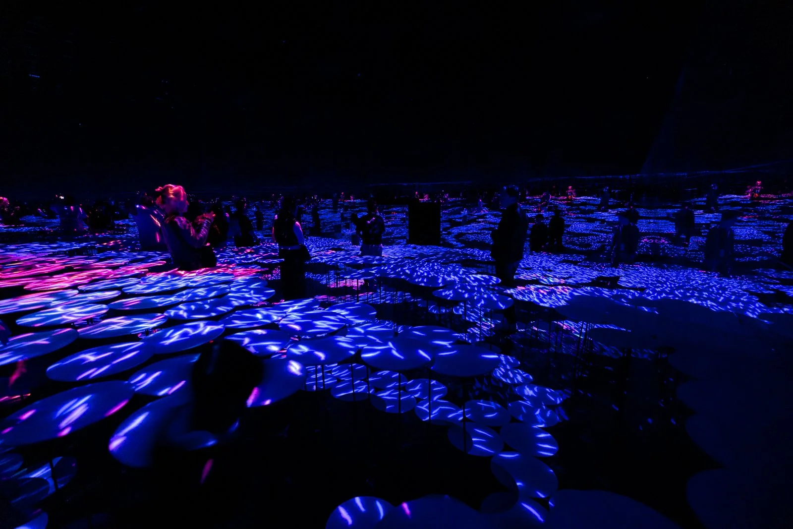 2026 JAPAN TEAMLAB BORDERLESS-24.jpg