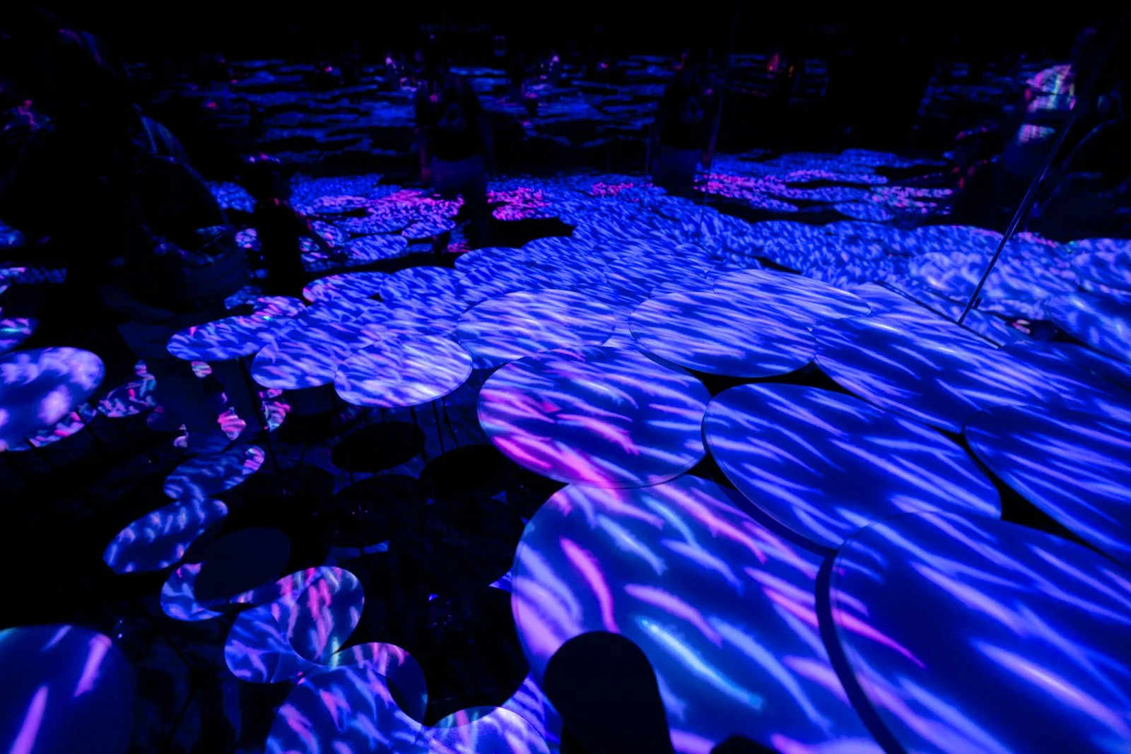 2026 JAPAN TEAMLAB BORDERLESS-25.jpg