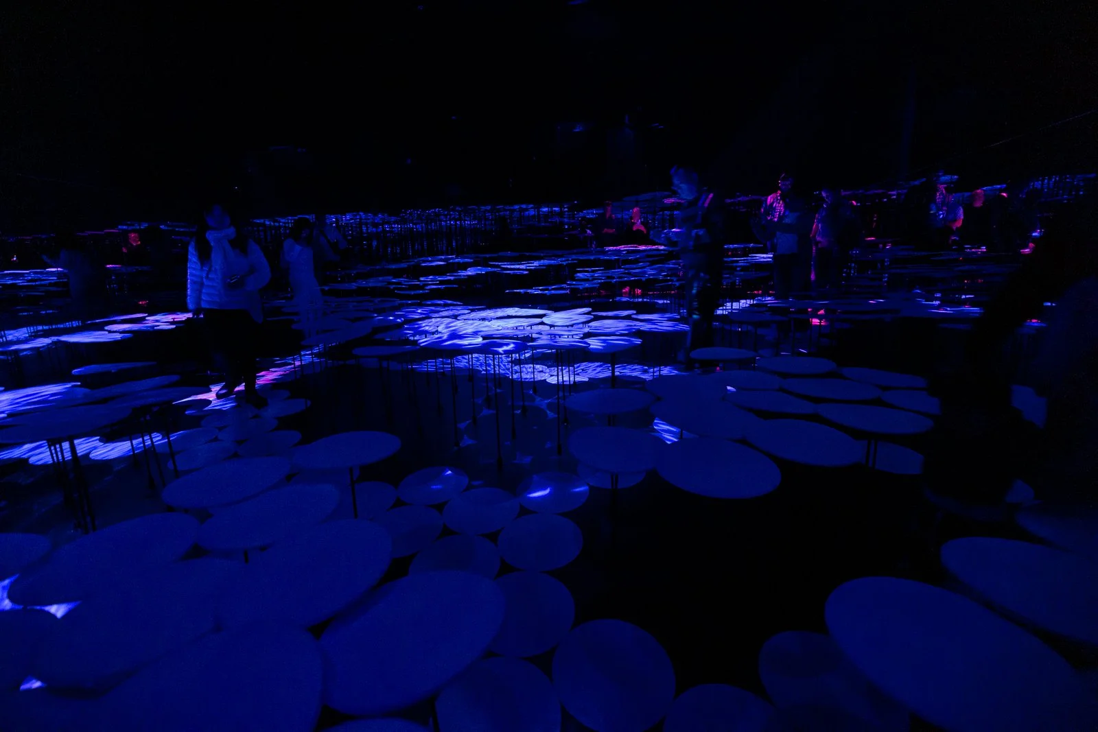 2026 JAPAN TEAMLAB BORDERLESS-26.jpg